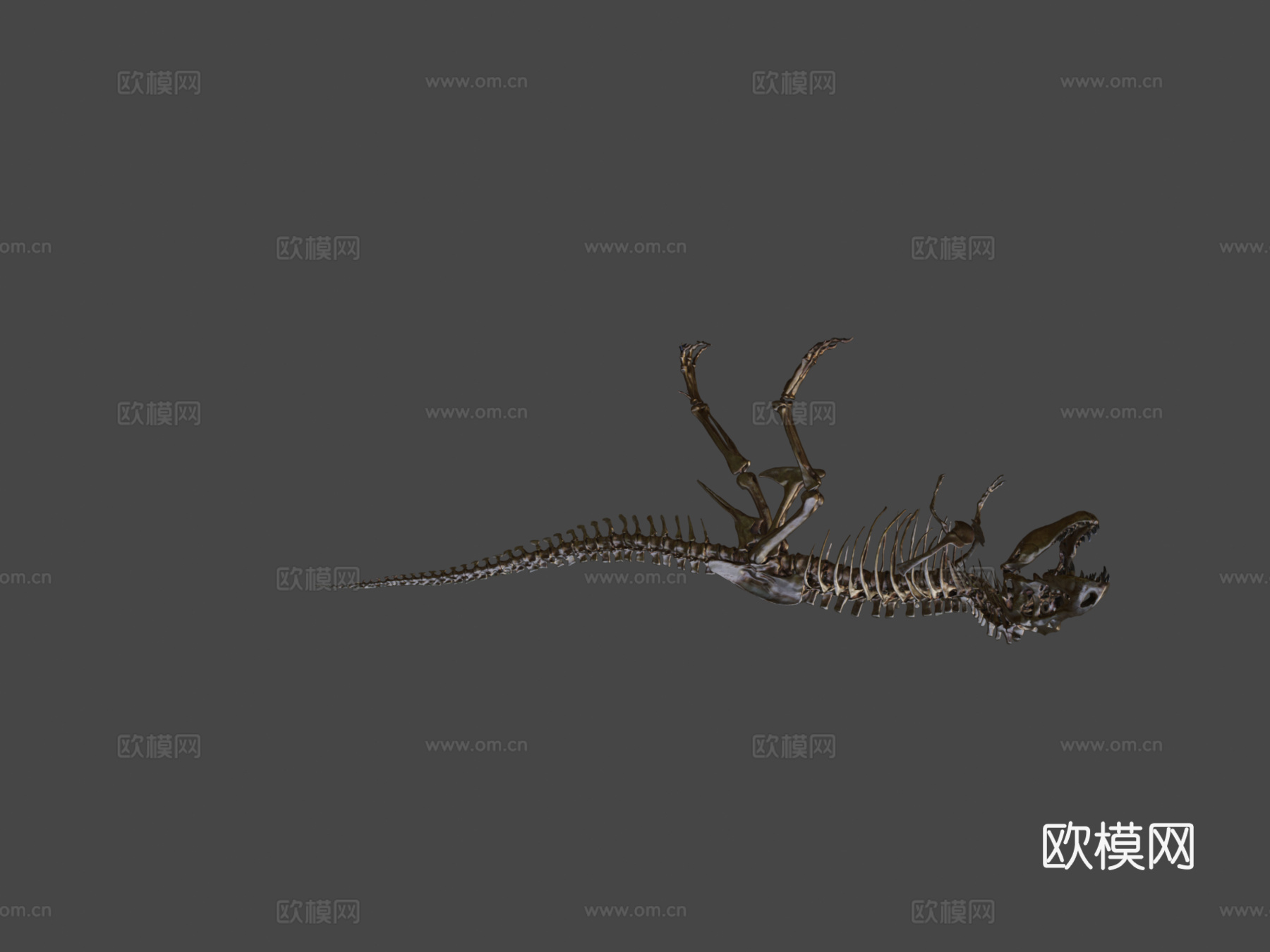 霸王龙骨架3d模型