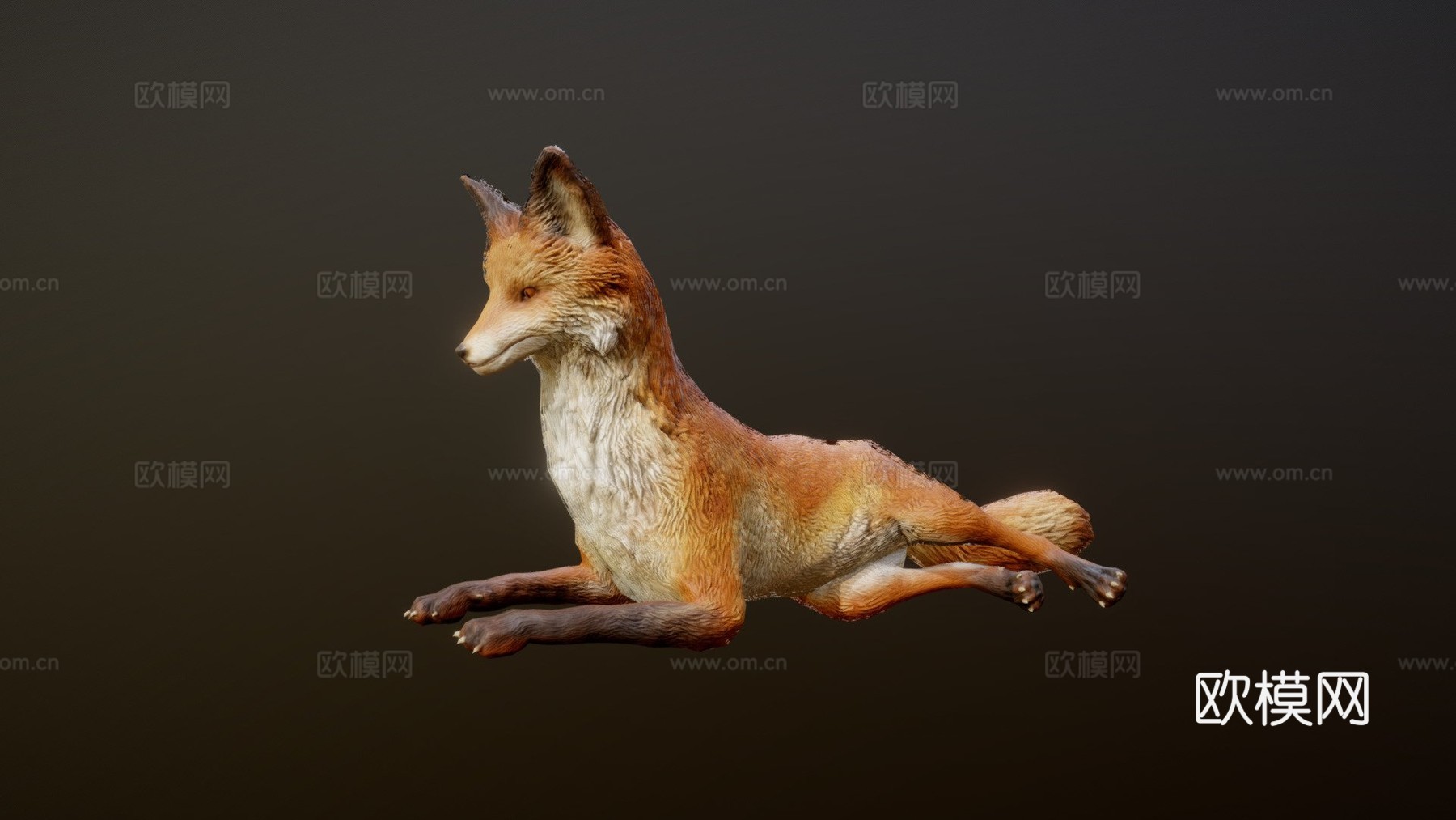 狐狸动画3d模型