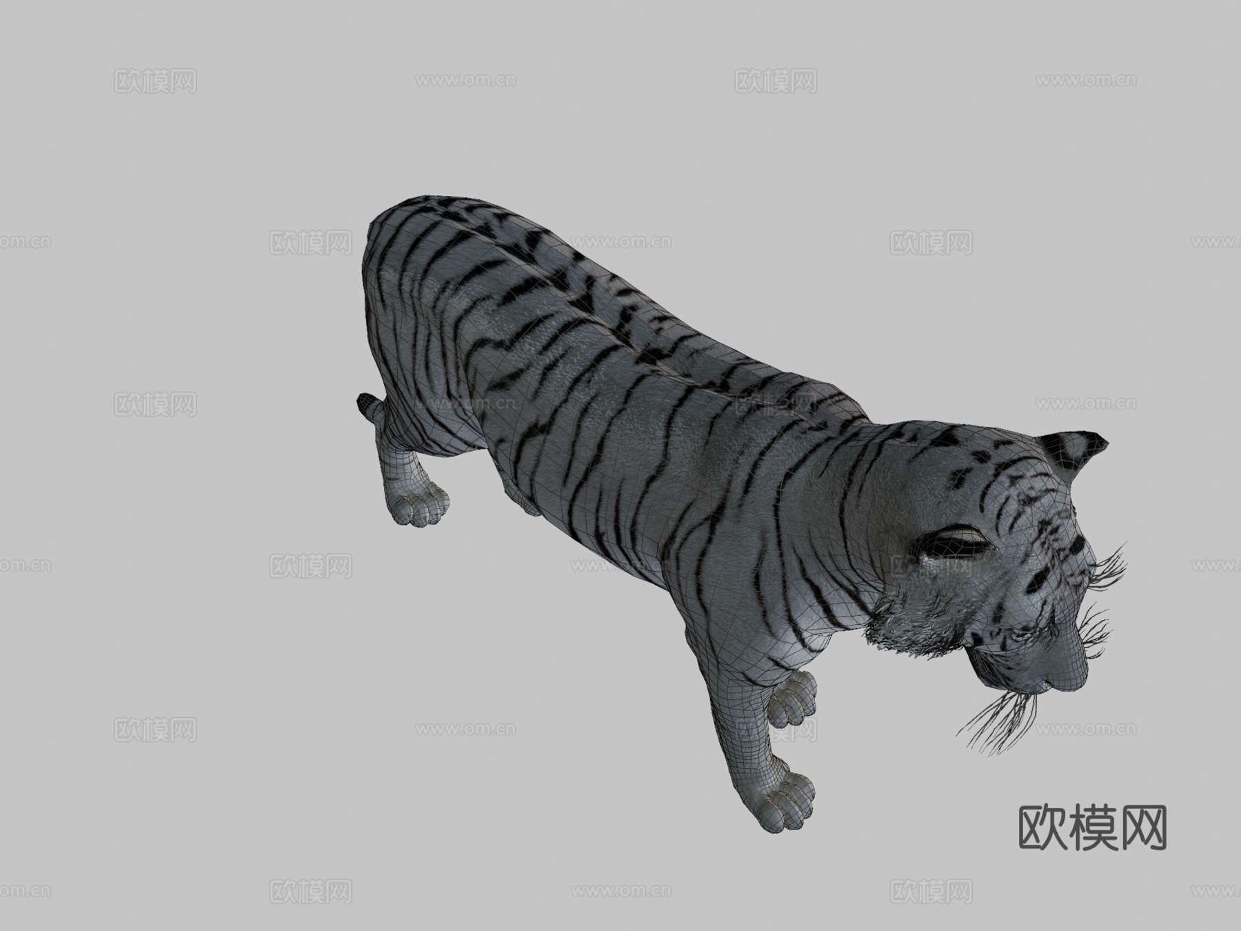 白虎3d模型