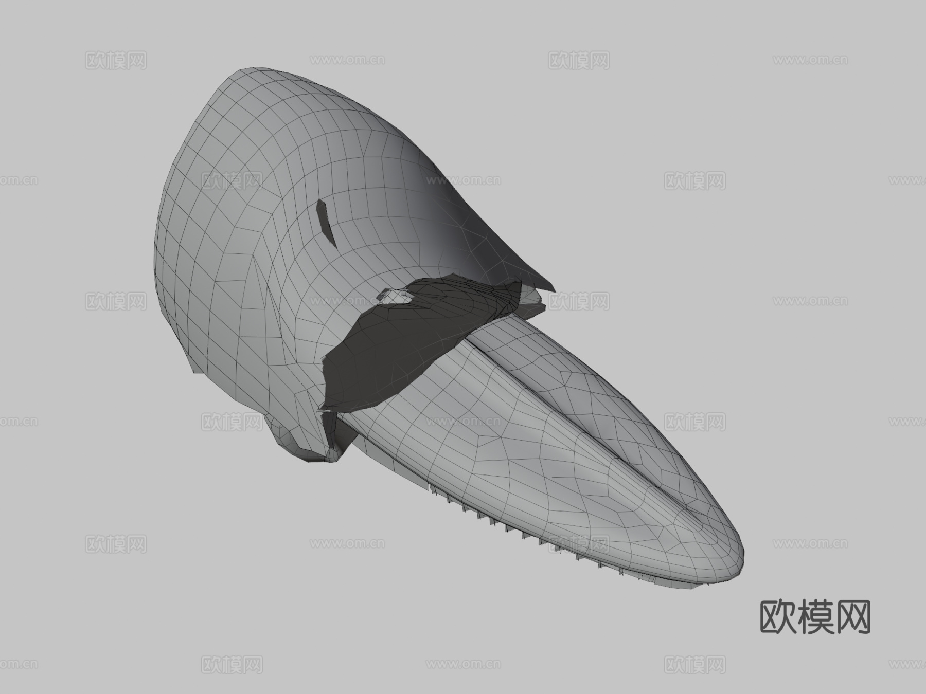 蓝鲸3d模型