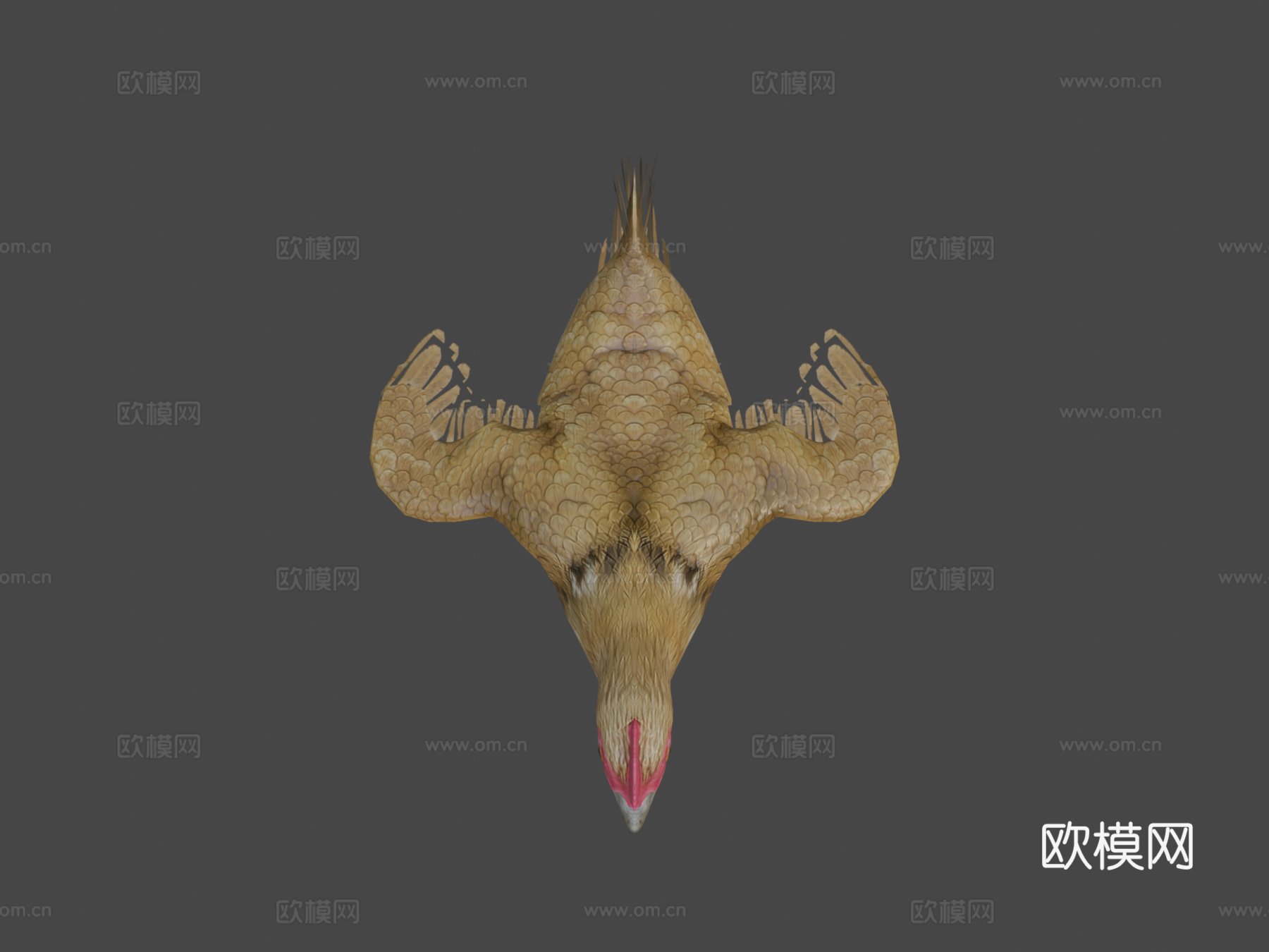 小鸡动画3d模型