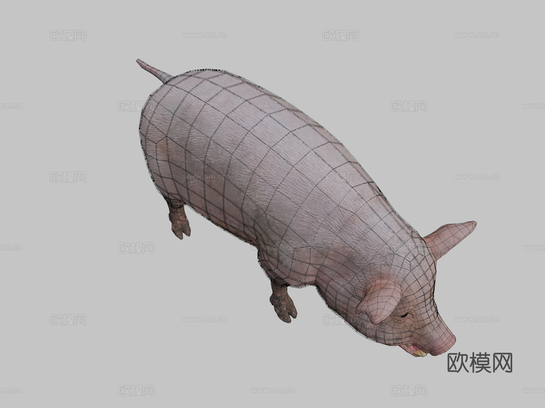 猪动画3d模型