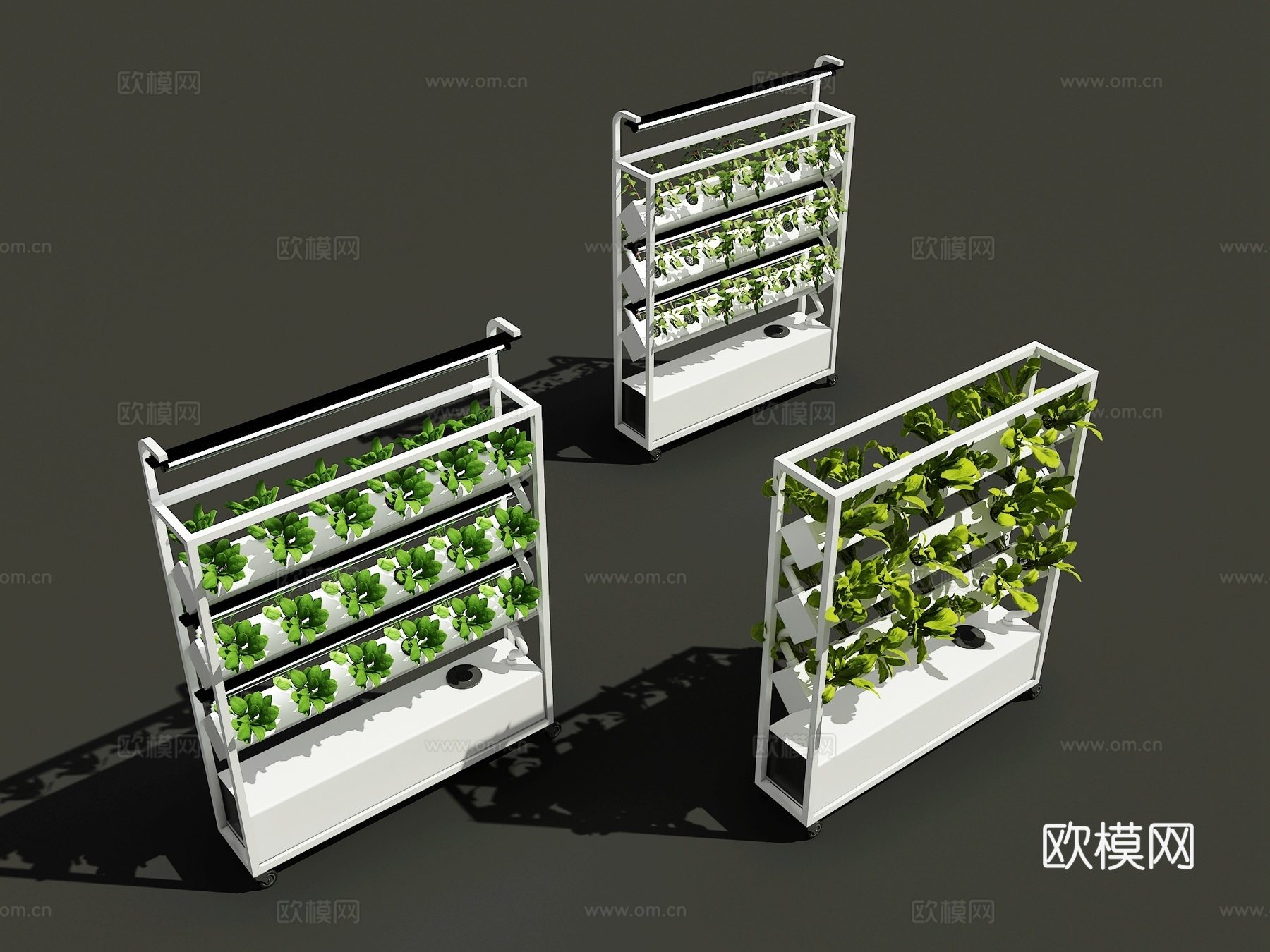 现代 无土栽培设备 水培种植 水培蔬菜 栽培设备3d模型