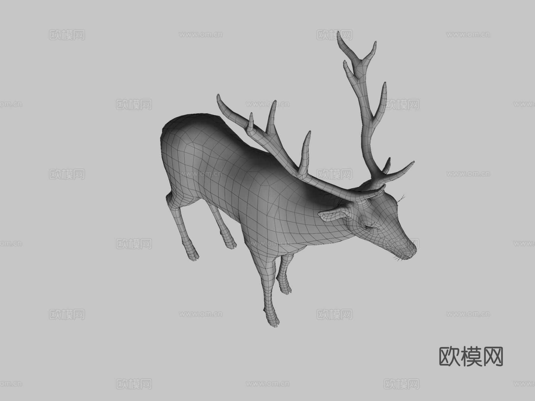 雄鹿3d模型