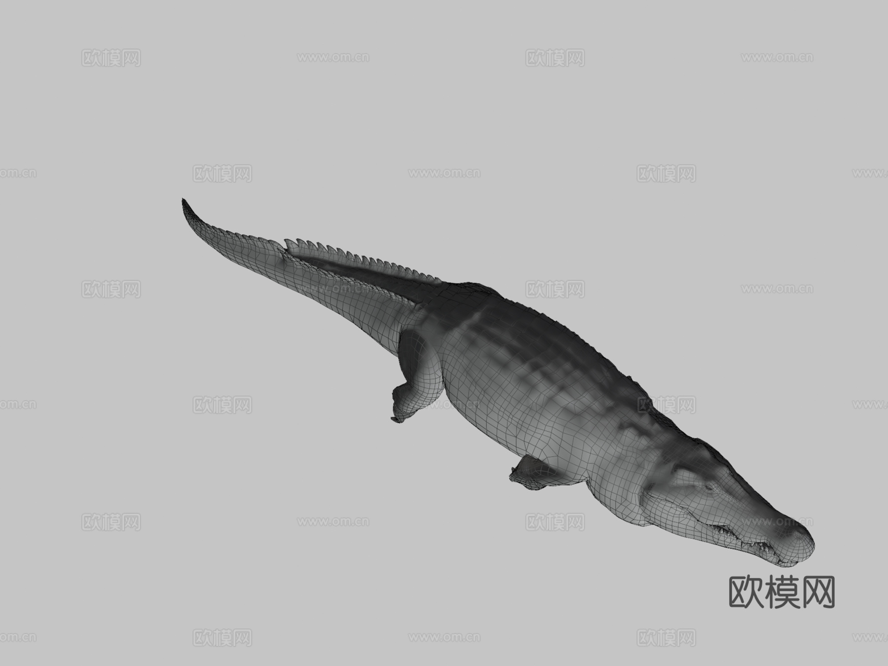 尼罗鳄游泳3d模型