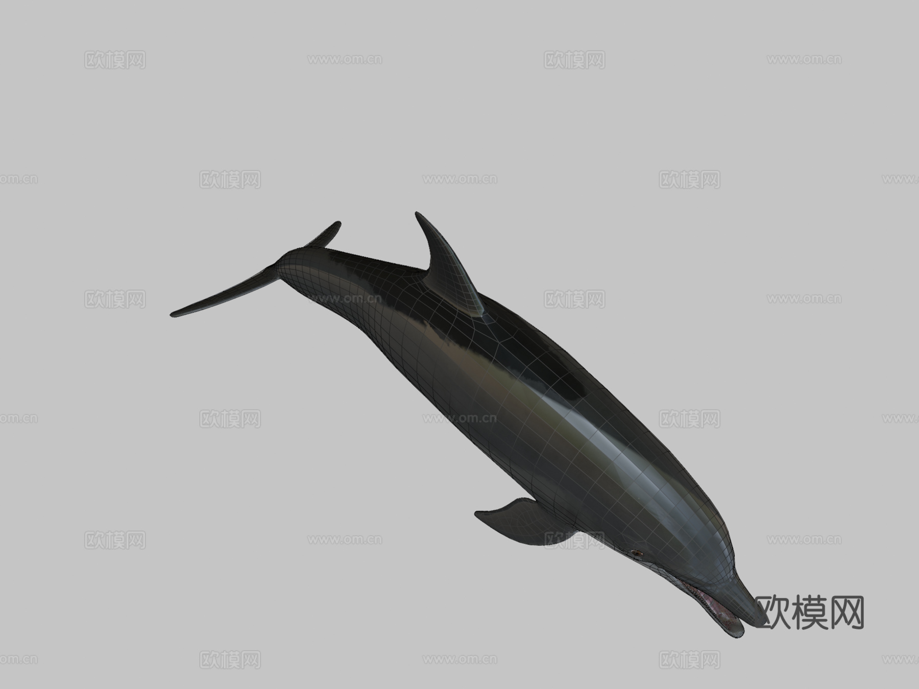 海豚3d模型