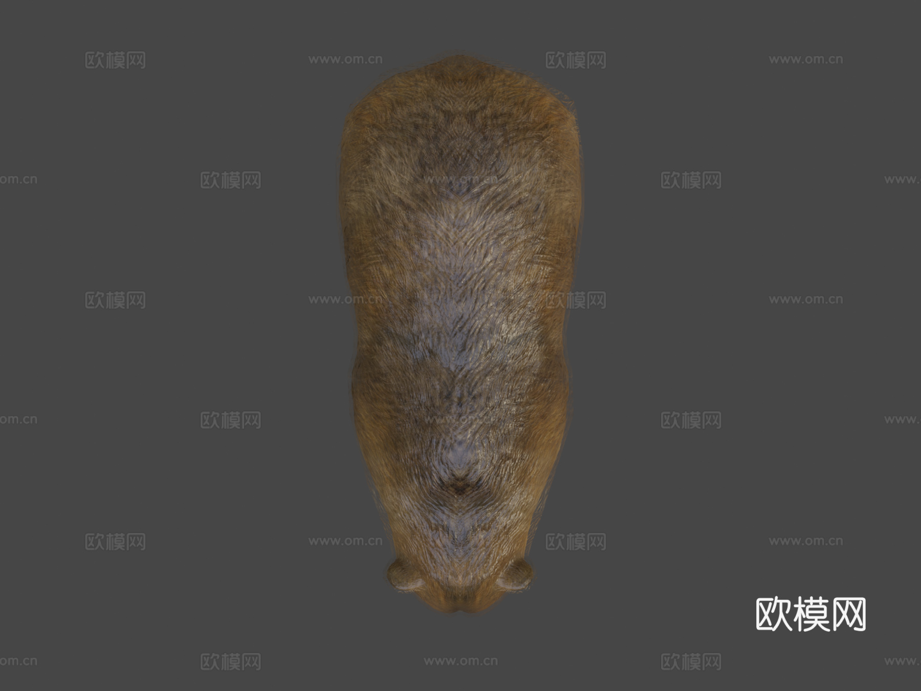 熊动画3d模型