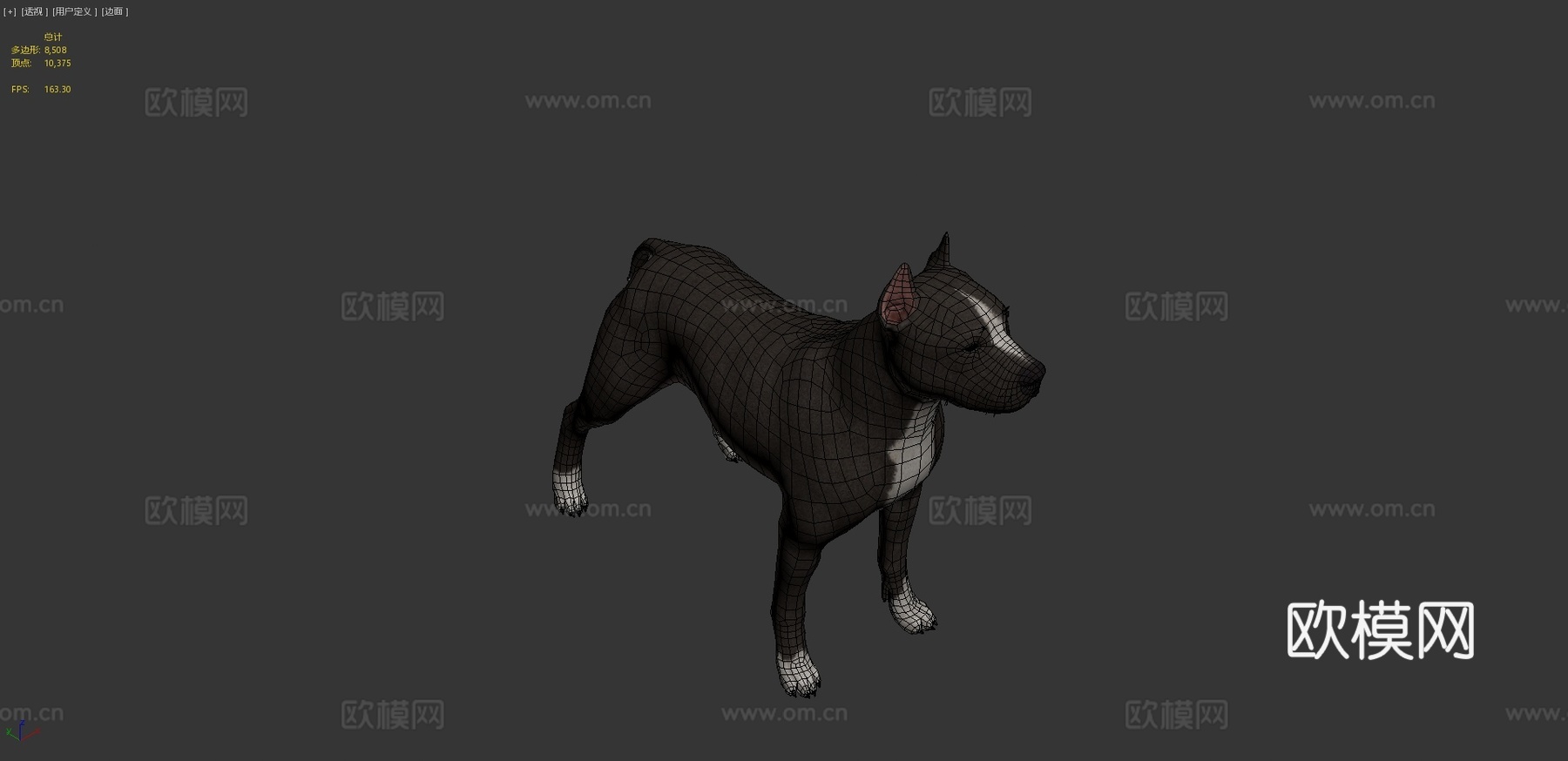 比特犬3d模型