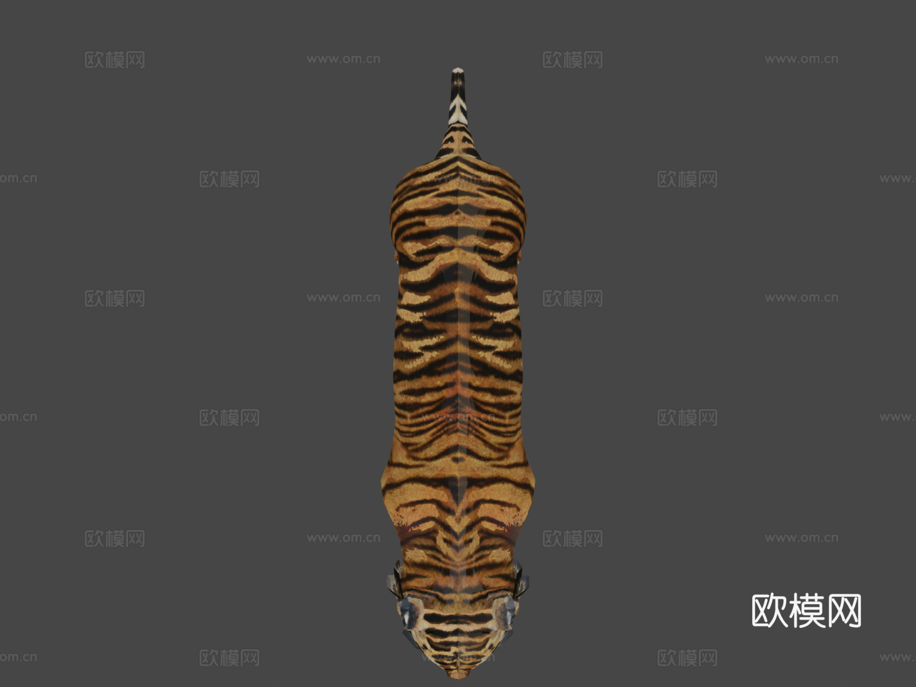 奔跑的虎（阿米尔（弗朗西斯科利马74））3d模型