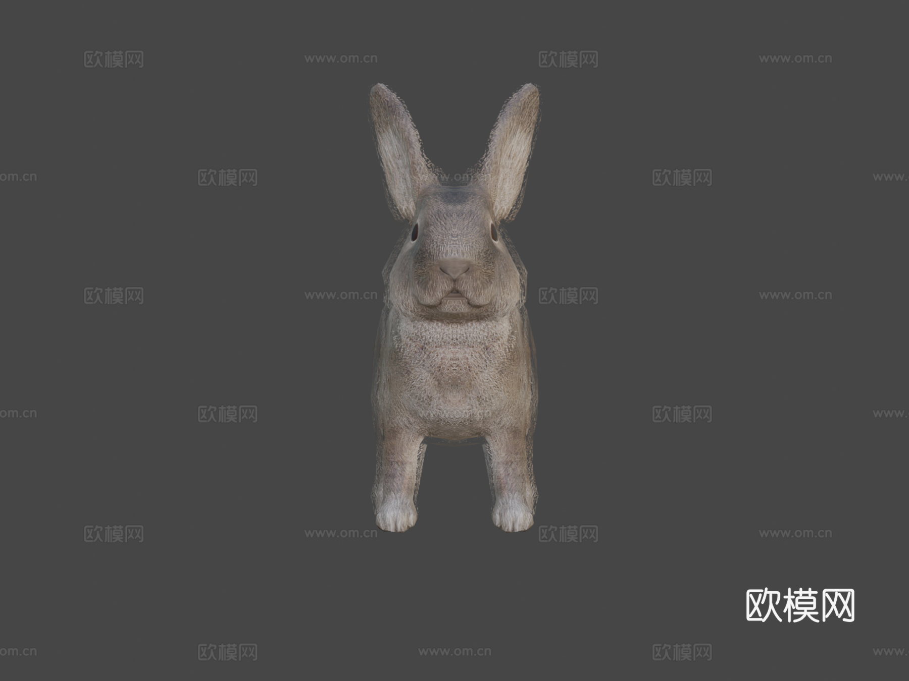 兔子动画3d模型