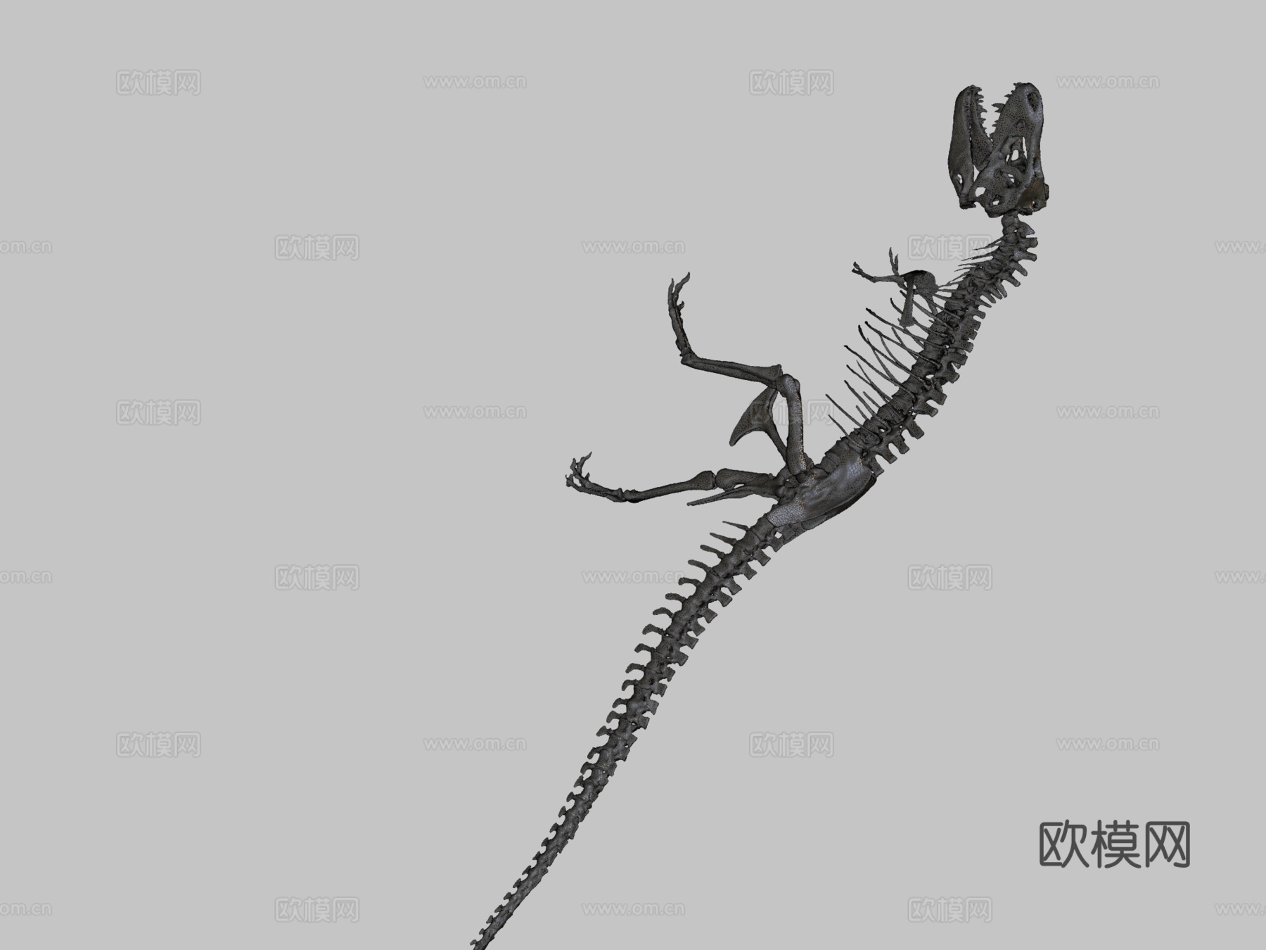 霸王龙骨架3d模型