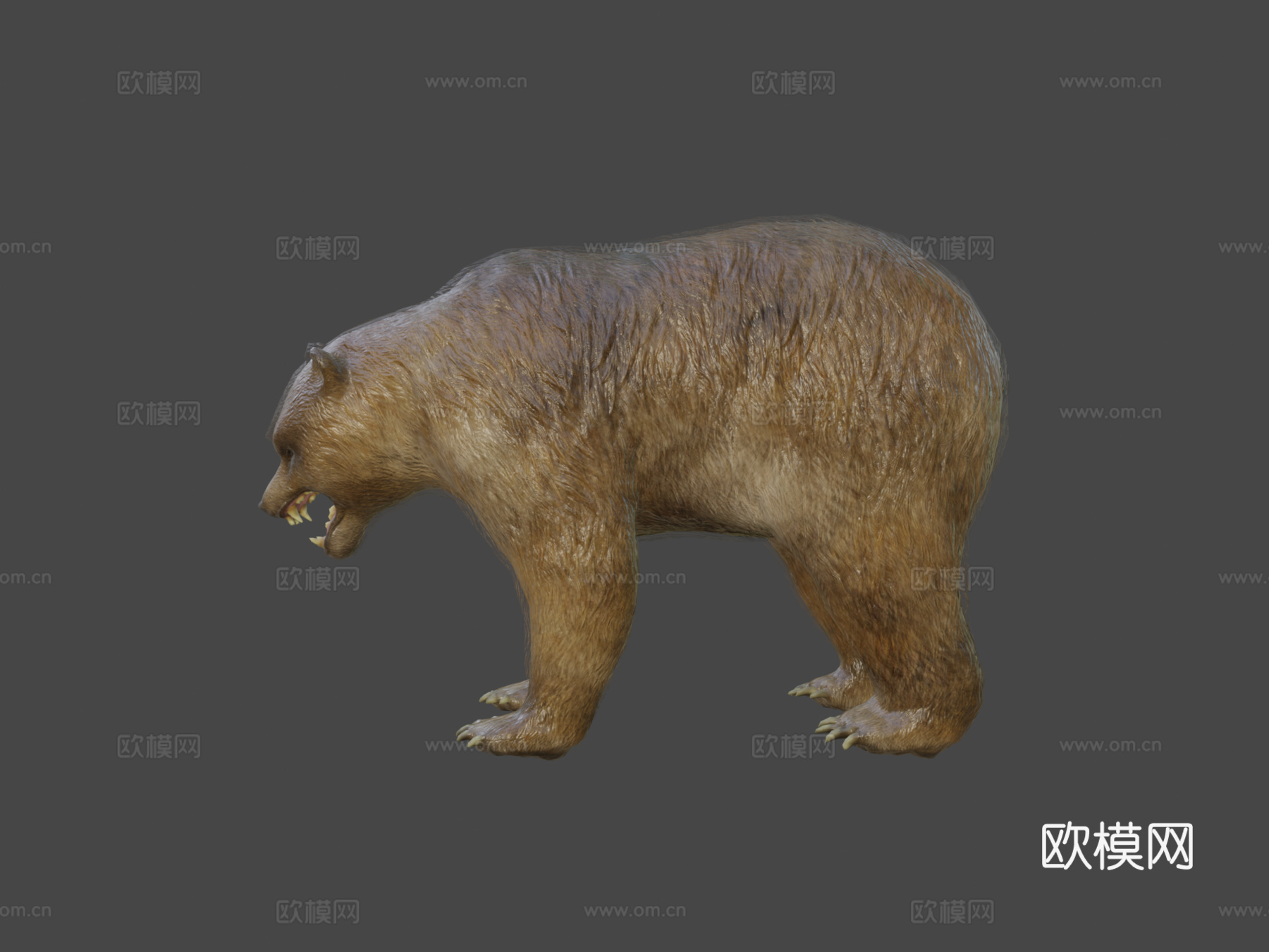 熊动画3d模型
