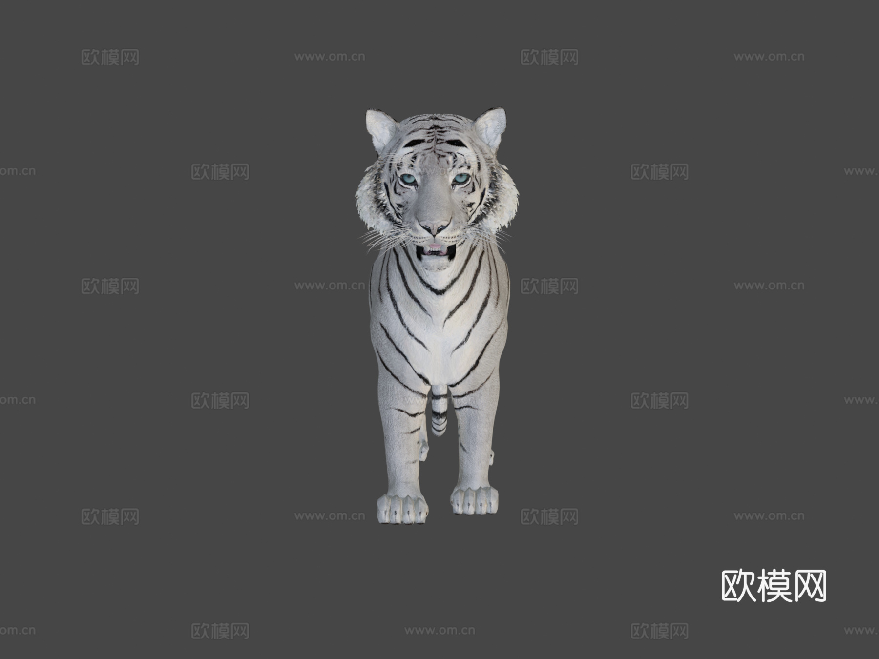 白虎3d模型