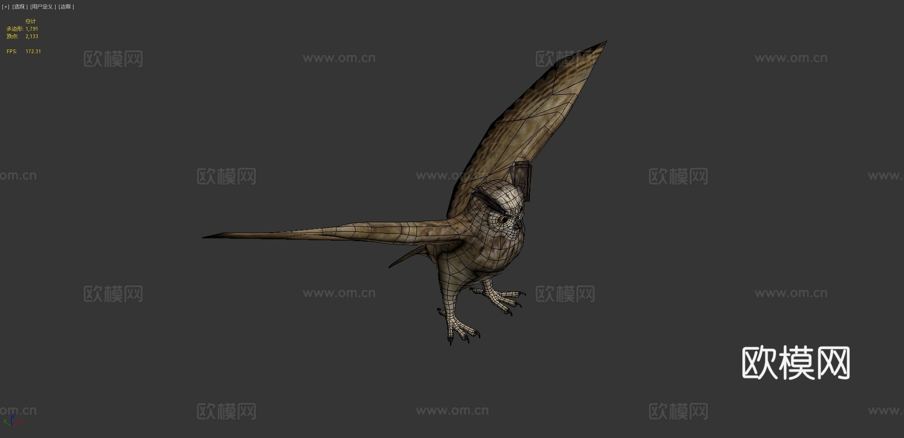 大角鸮动画3d模型