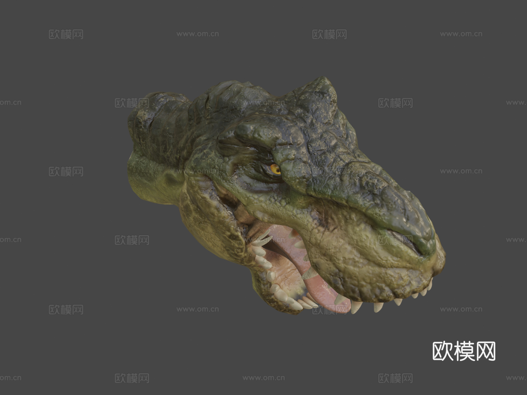 霸王龙3d模型