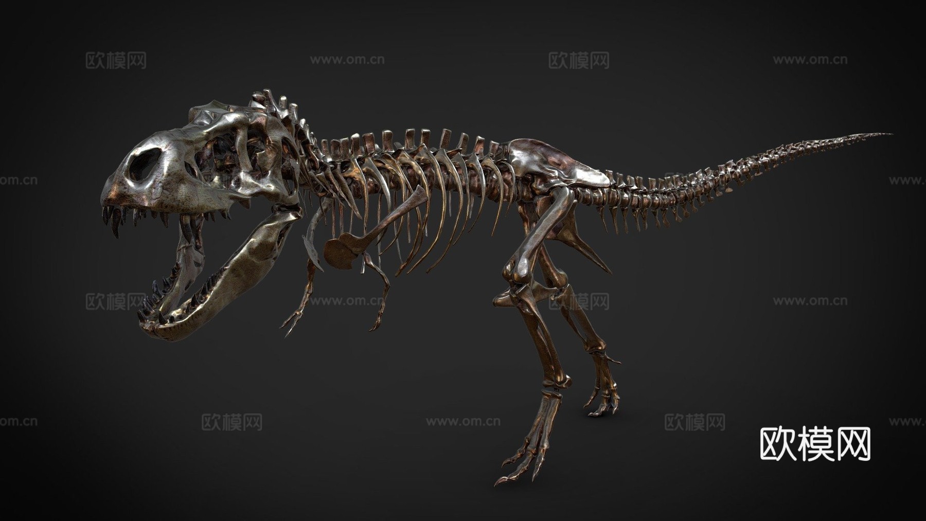 霸王龙骨架3d模型
