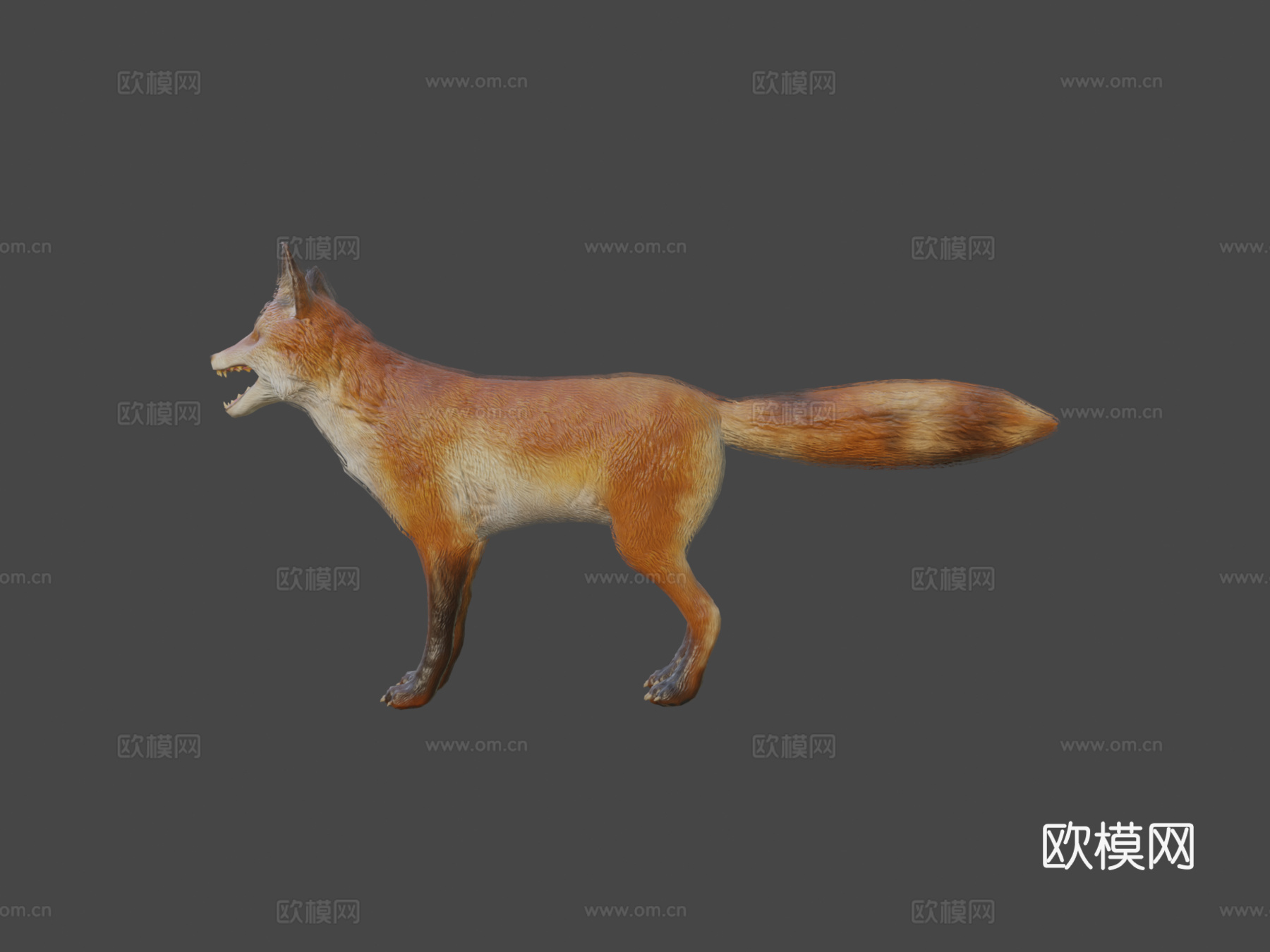 狐狸动画3d模型