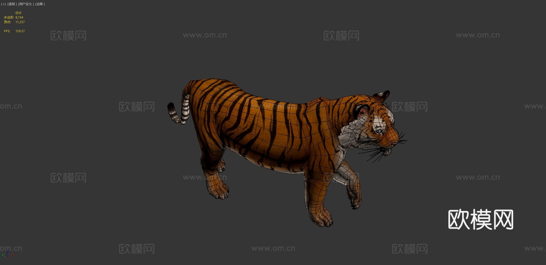孟加拉虎3d模型