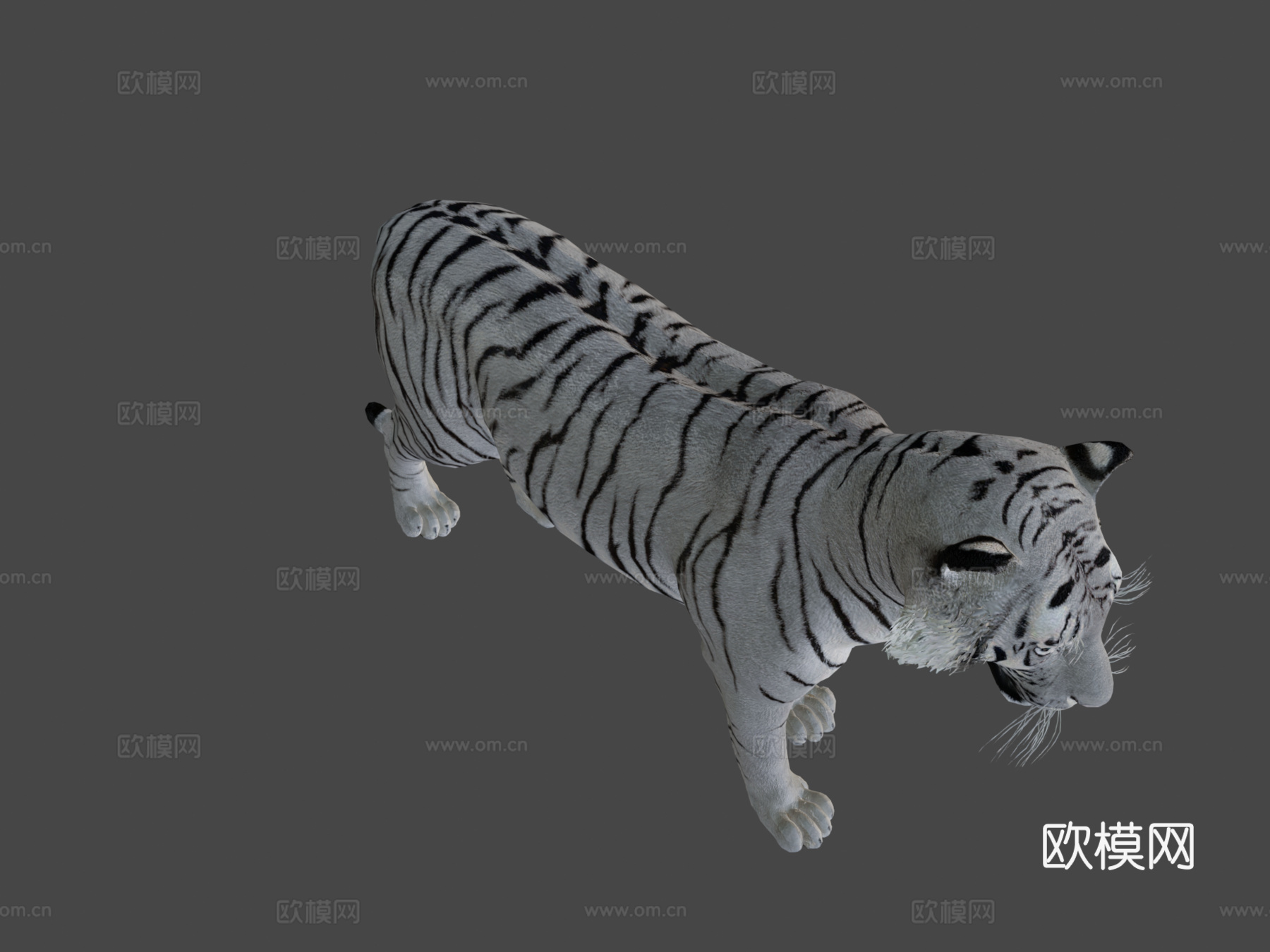 白虎3d模型