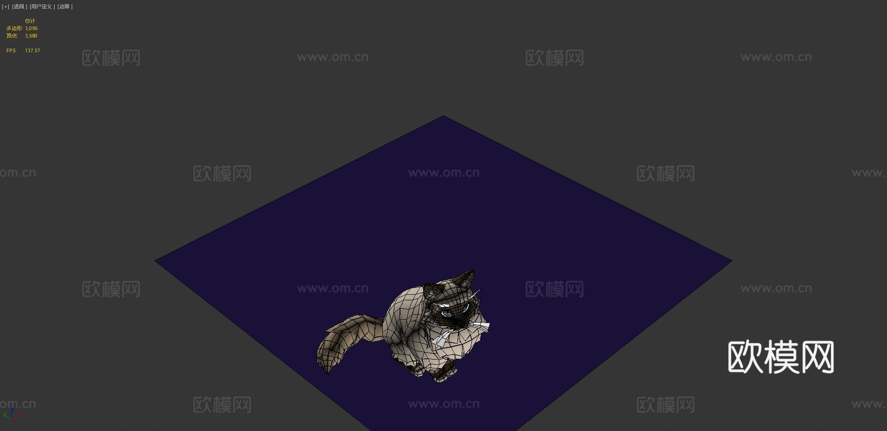 玛雅-伯曼猫3d模型