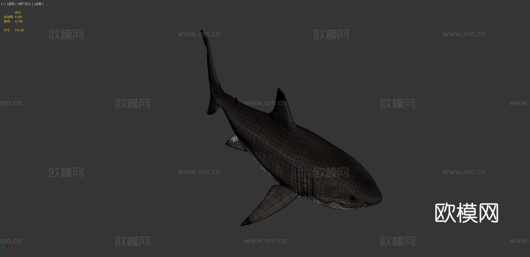 巨齿鲨3d模型