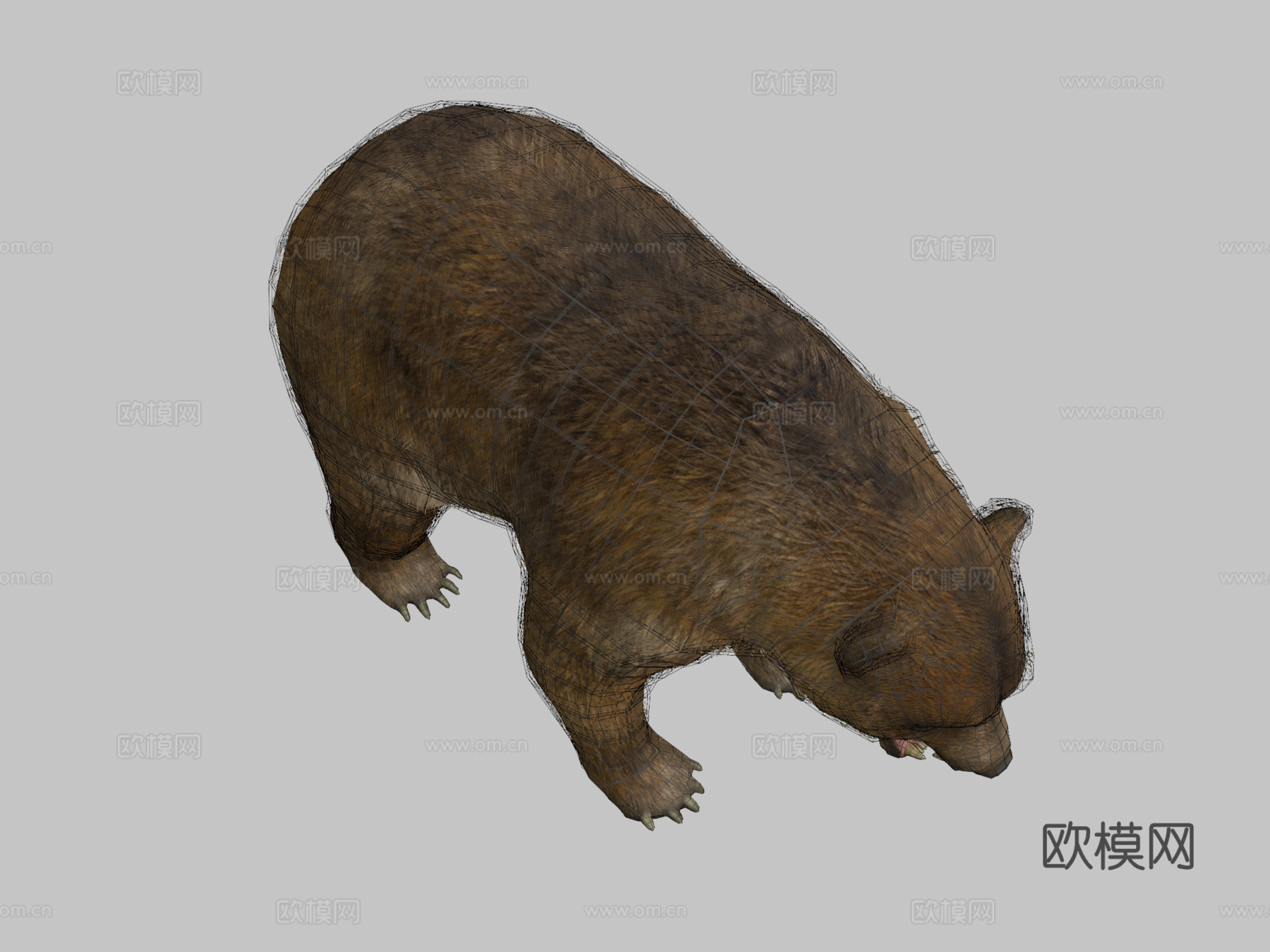 熊动画3d模型