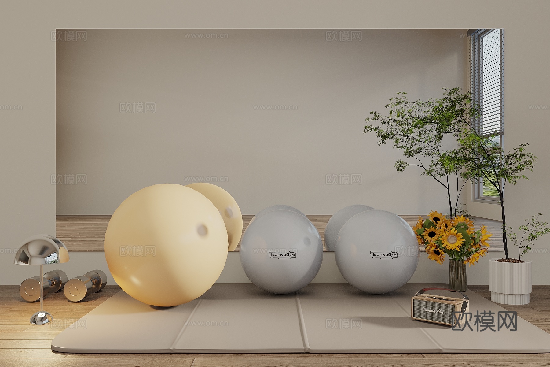 瑜伽用品 瑜伽垫 瑜伽器材 镜子3d模型