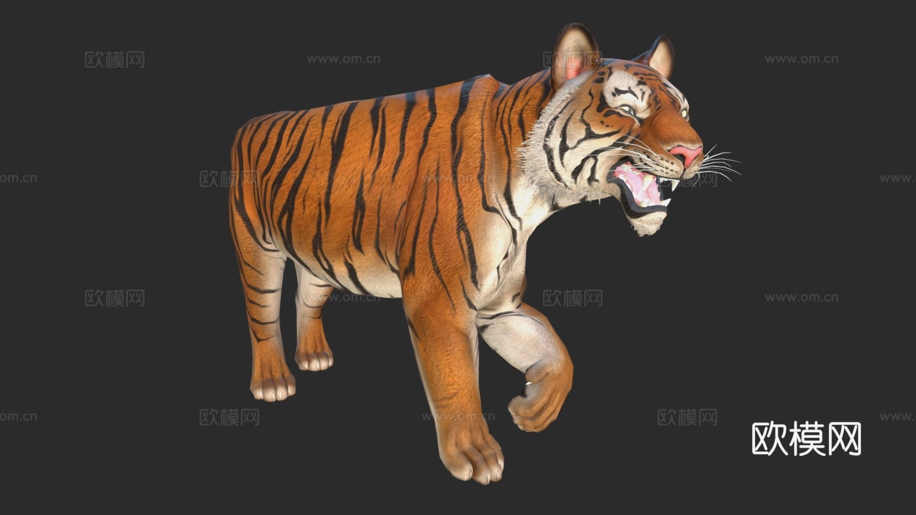 孟加拉虎3d模型