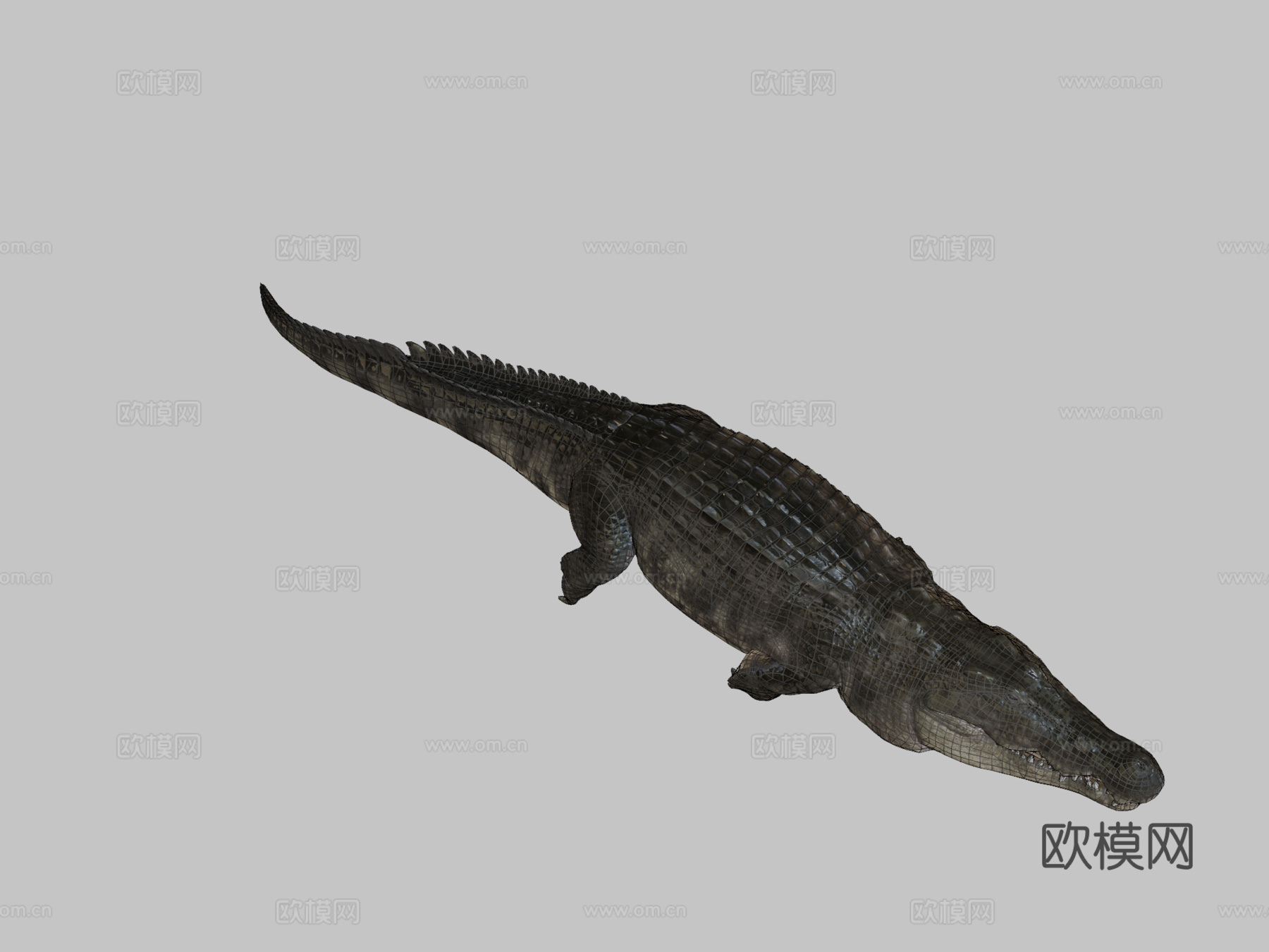 尼罗鳄游泳3d模型