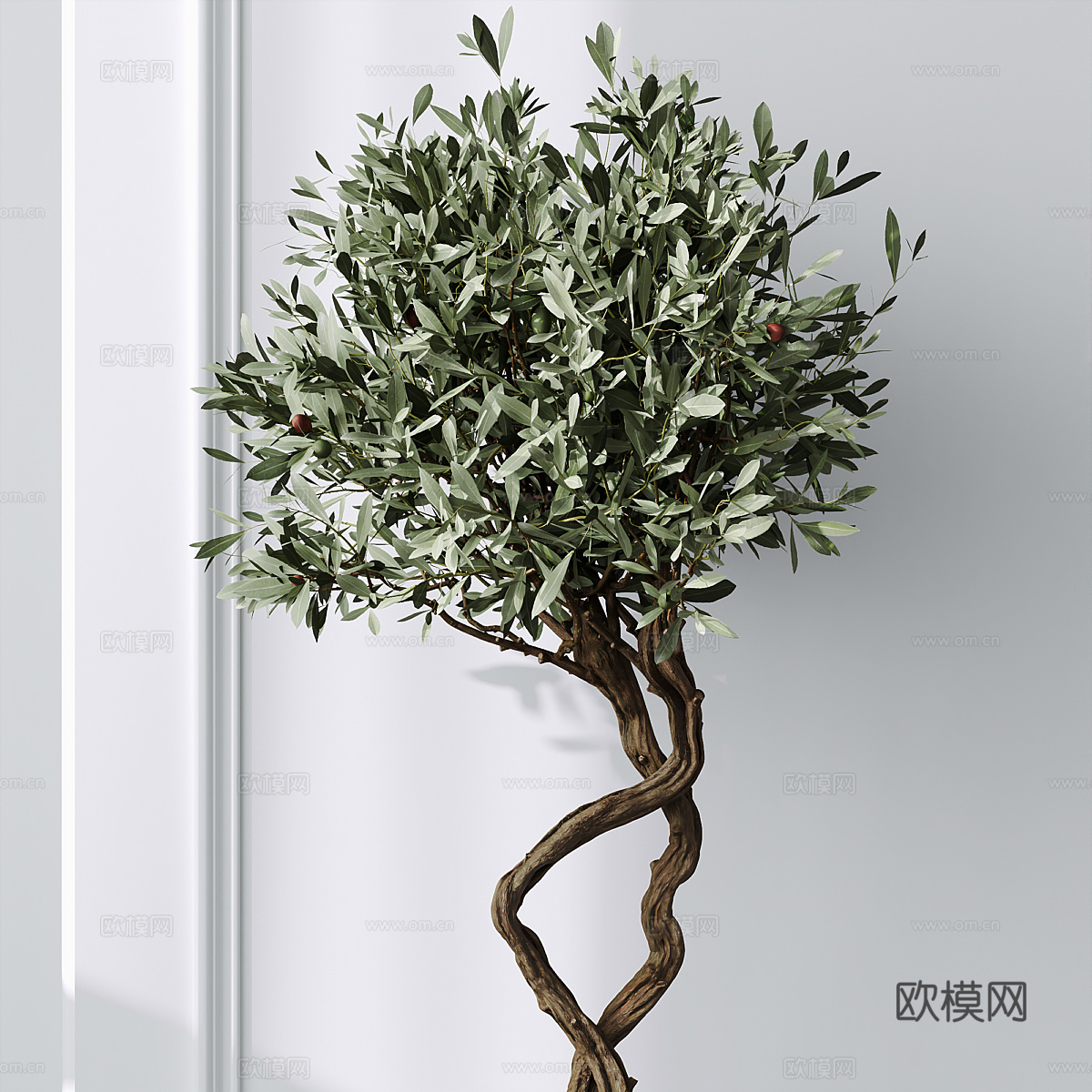 现代轻奢绿植盆栽3d模型