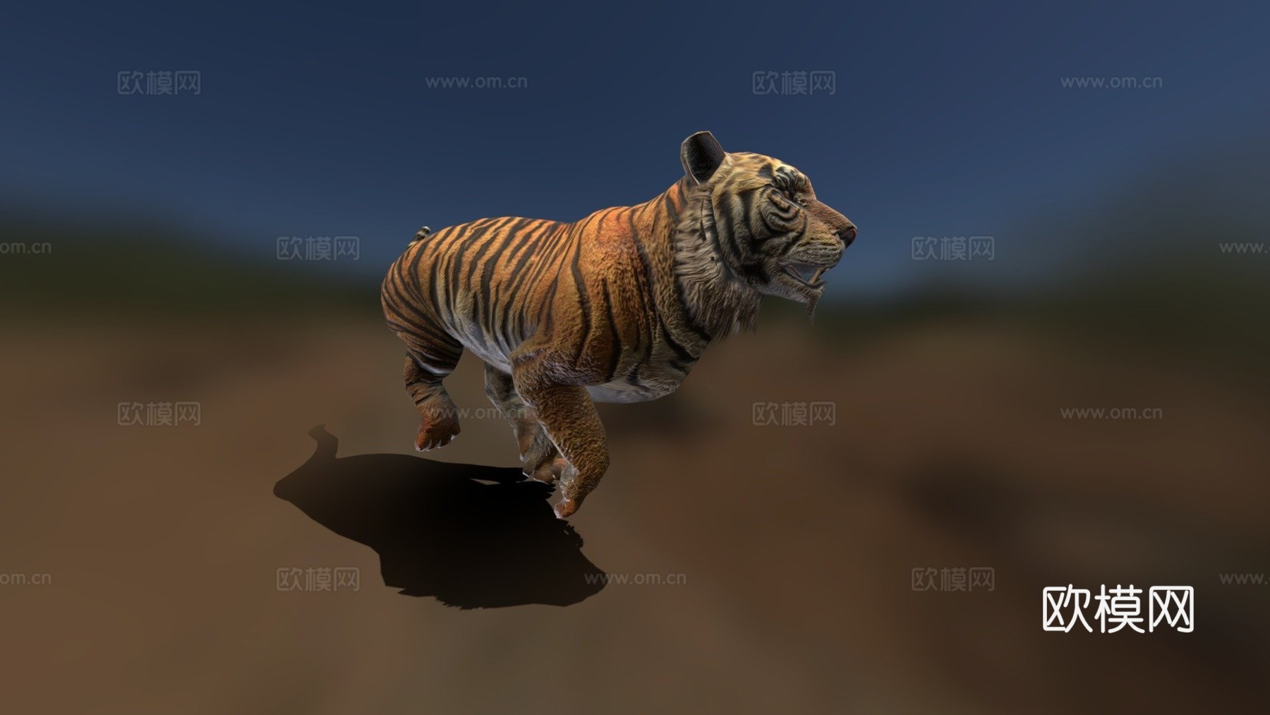 奔跑的虎（阿米尔（弗朗西斯科利马74））3d模型