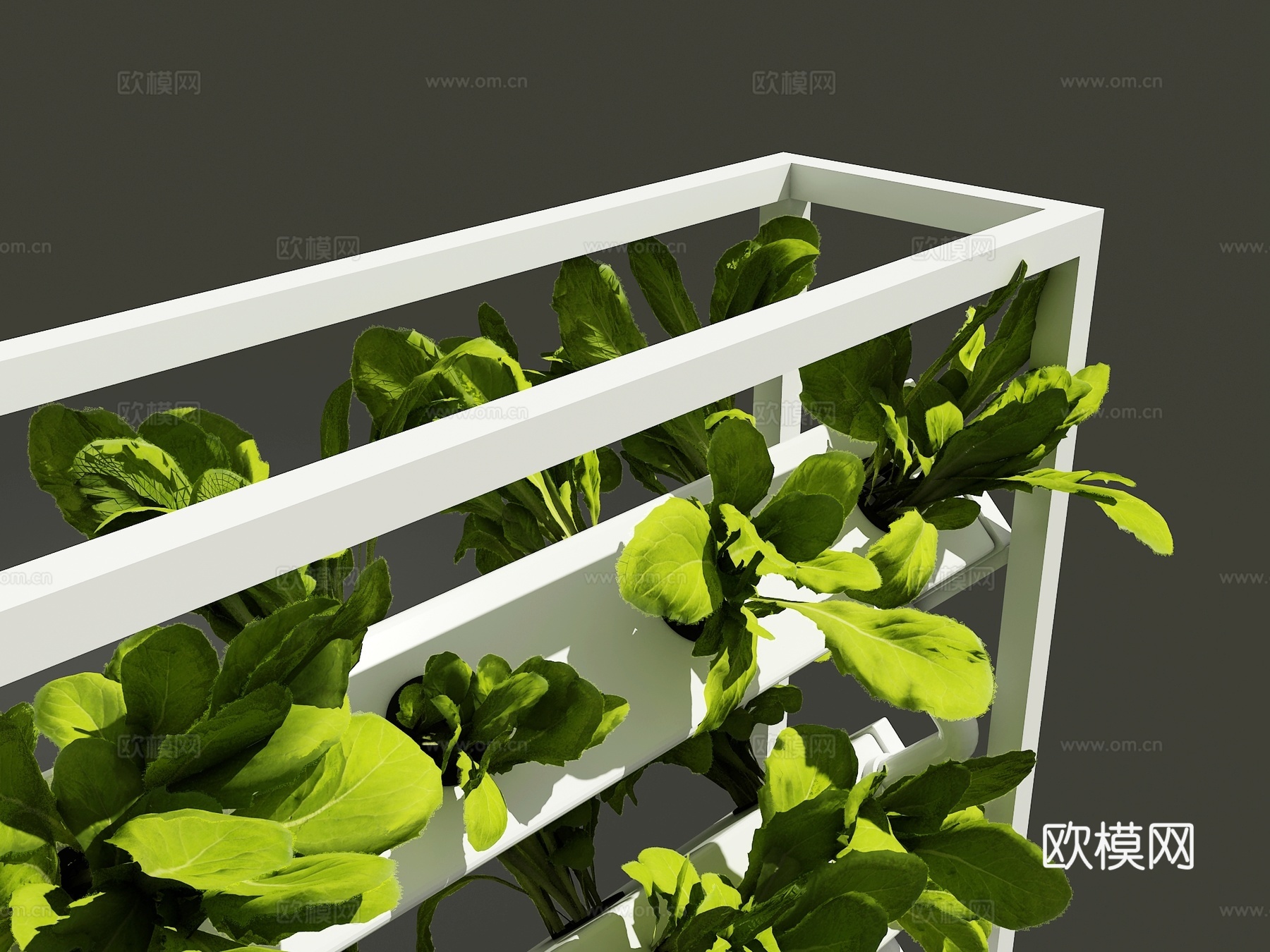 现代 无土栽培设备 水培种植 水培蔬菜 栽培设备3d模型