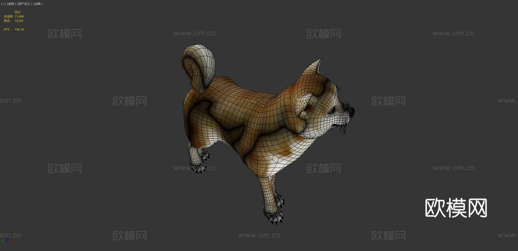 动画狗，柴犬3d模型