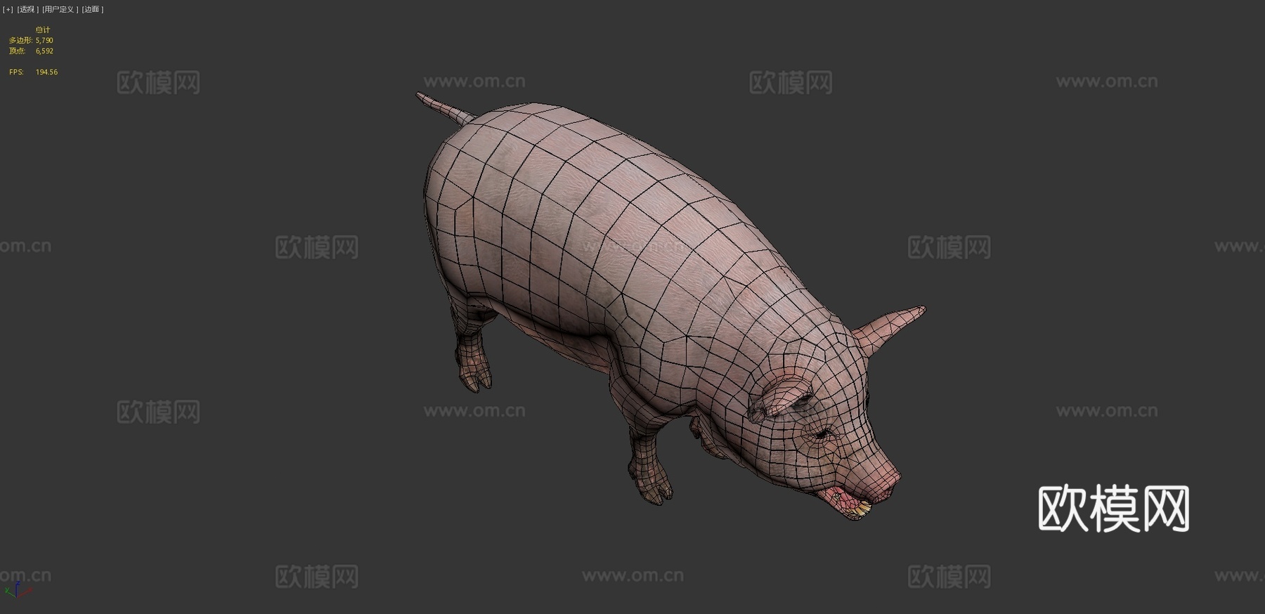 猪动画3d模型