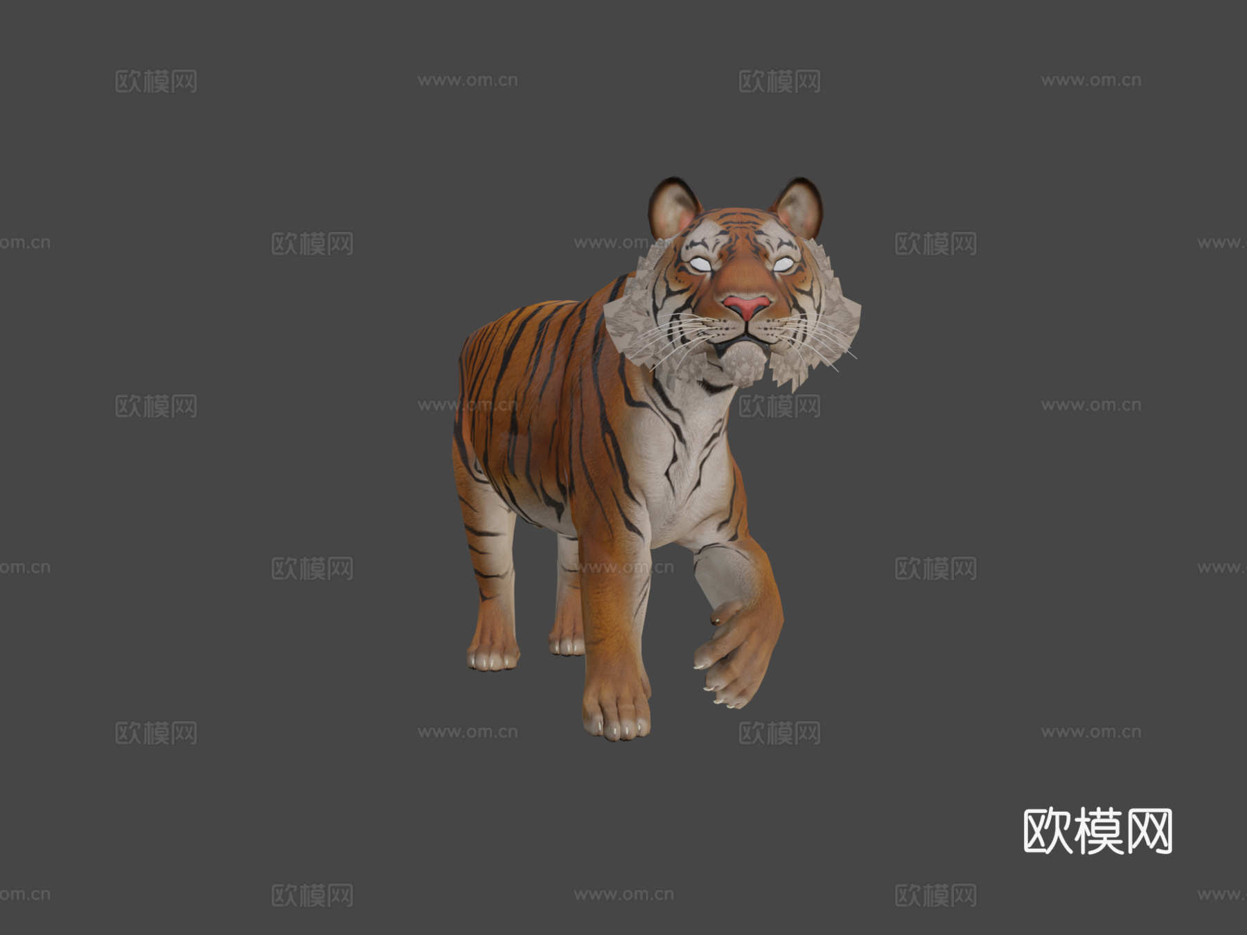 孟加拉虎3d模型