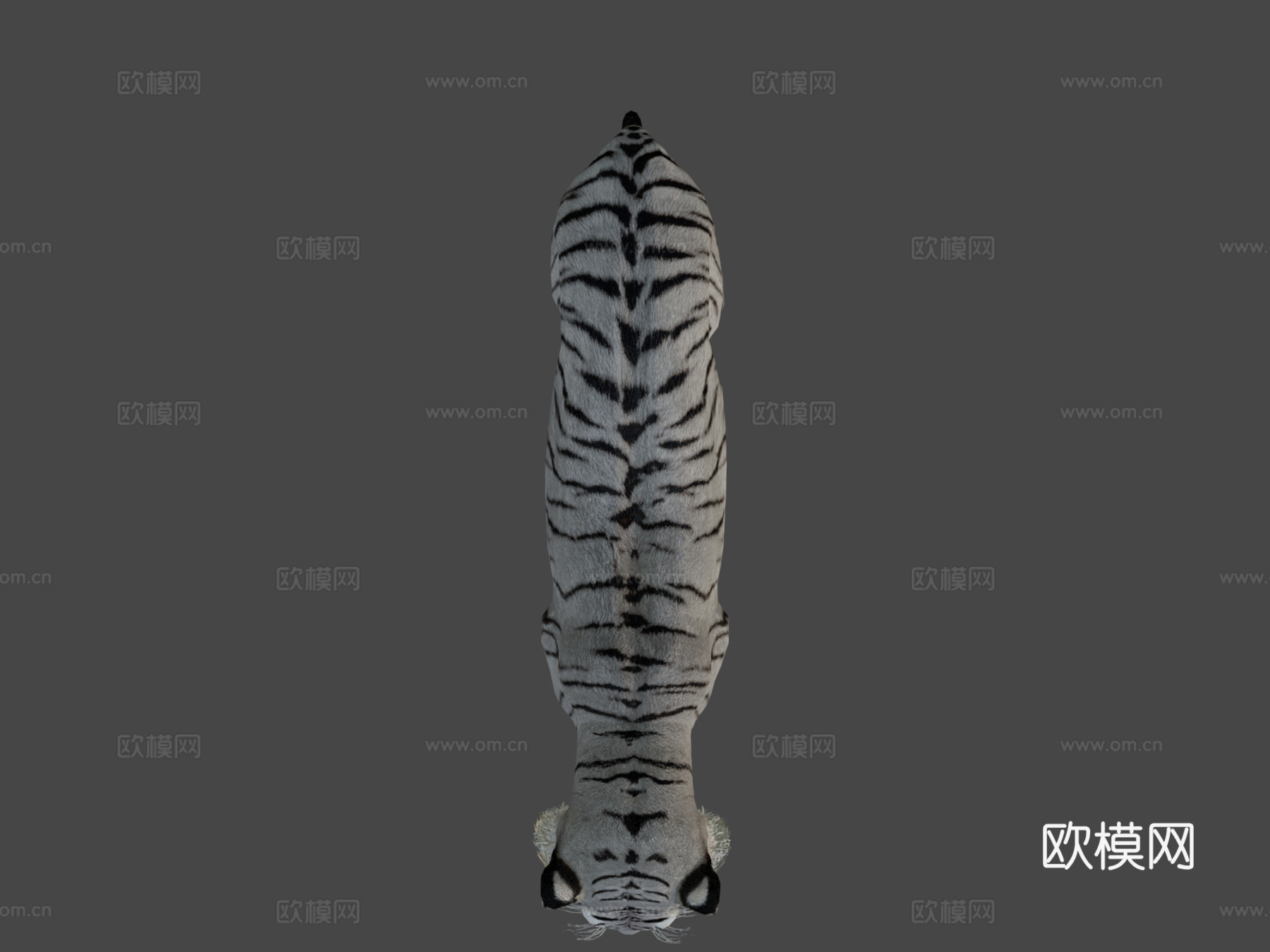 白虎3d模型