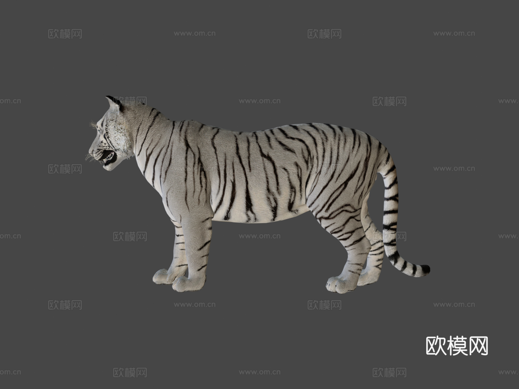 白虎3d模型