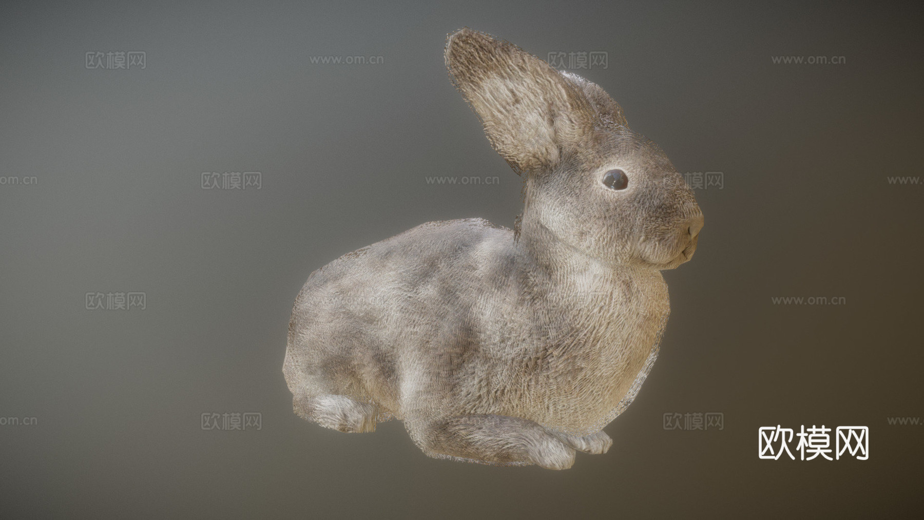 兔子动画3d模型