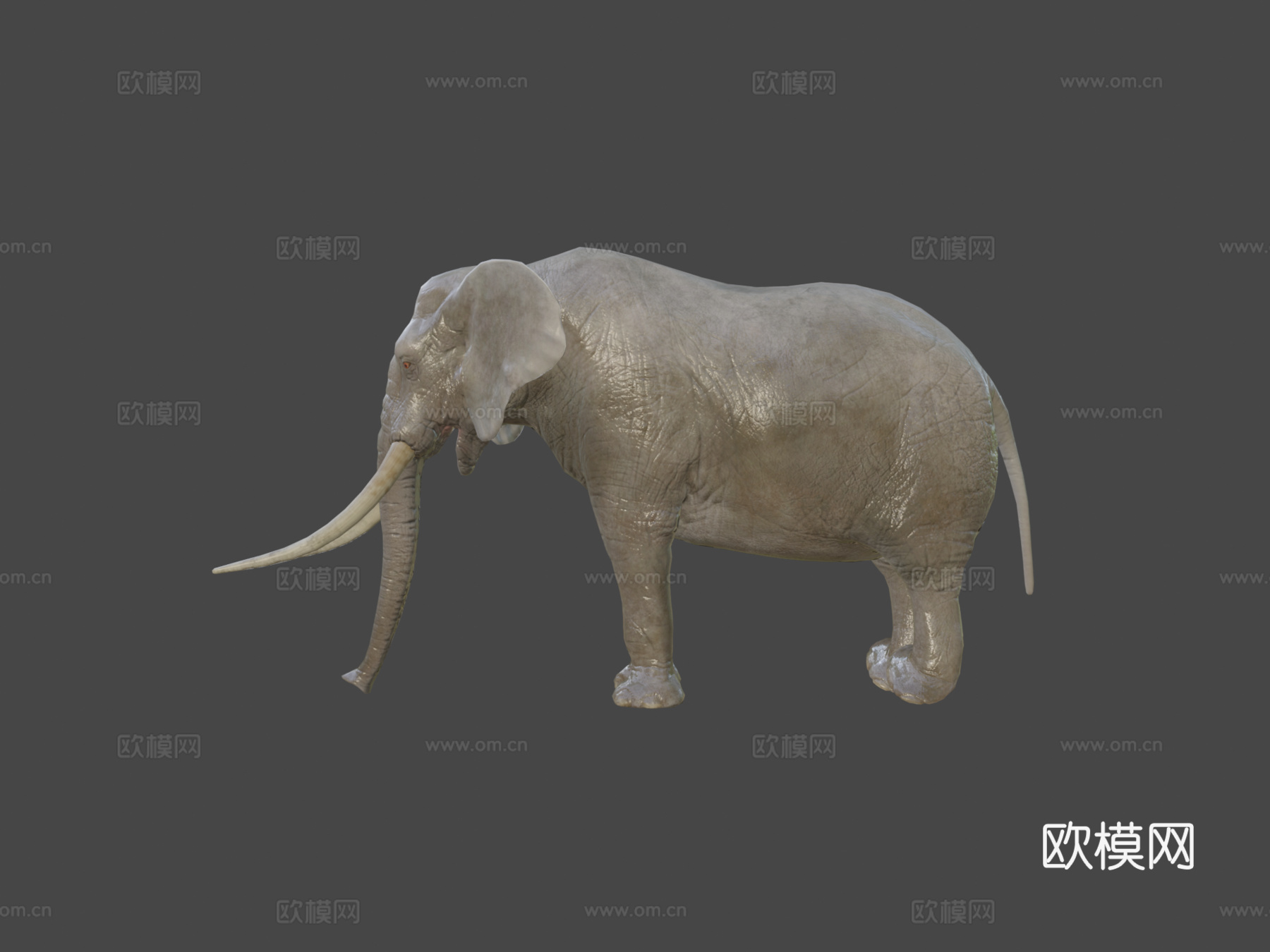 大象动画3d模型