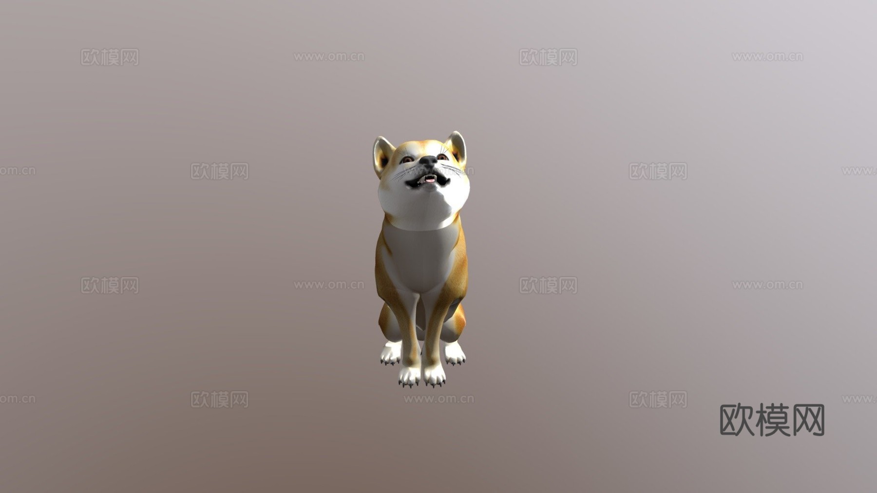 动画狗，柴犬3d模型