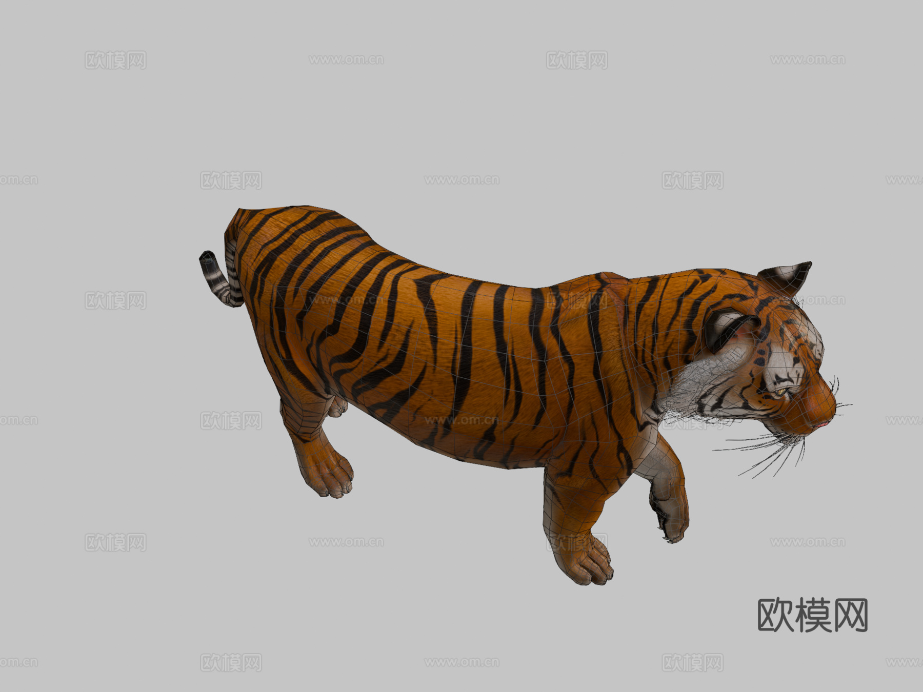 孟加拉虎3d模型