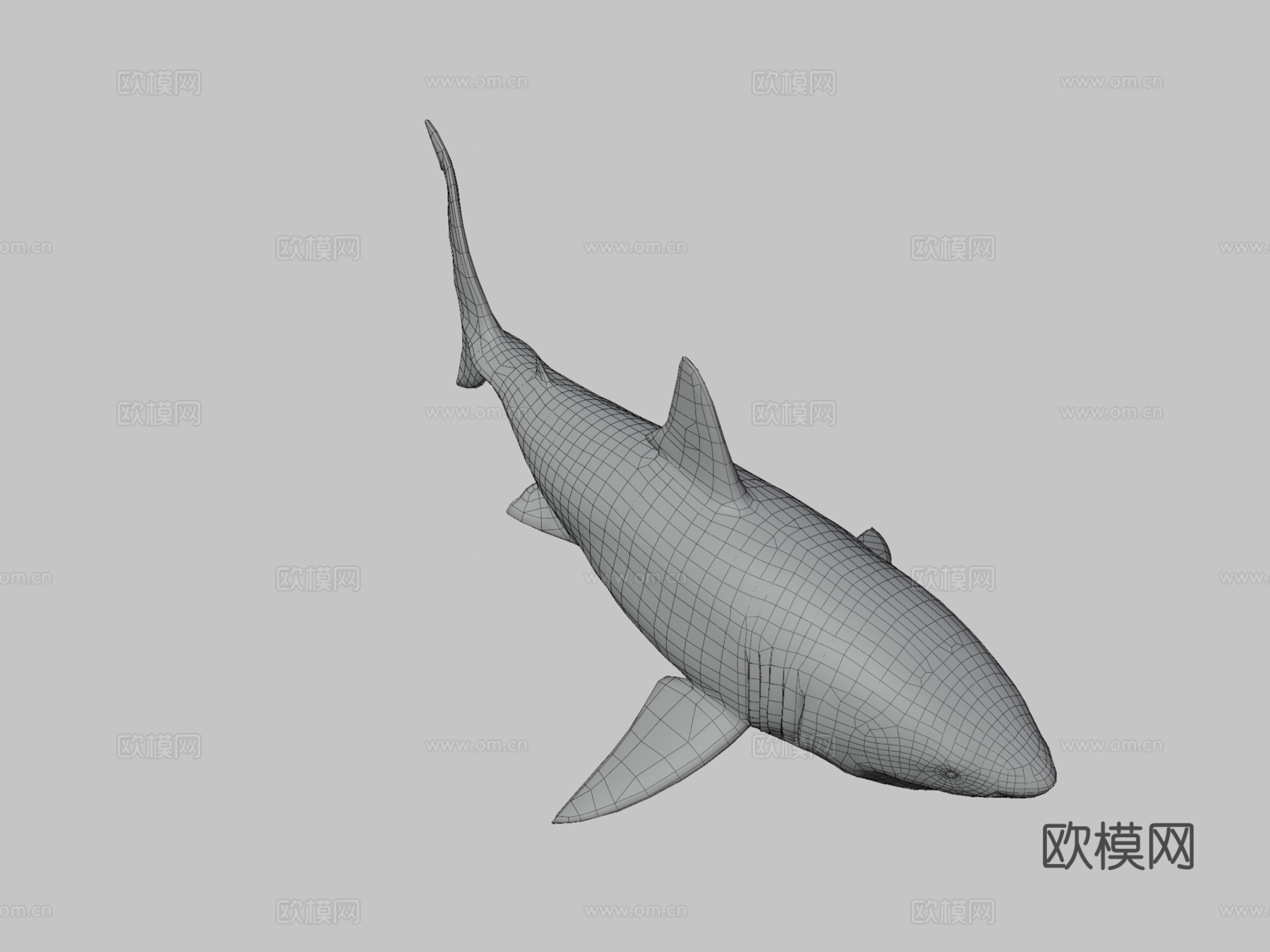 巨齿鲨3d模型