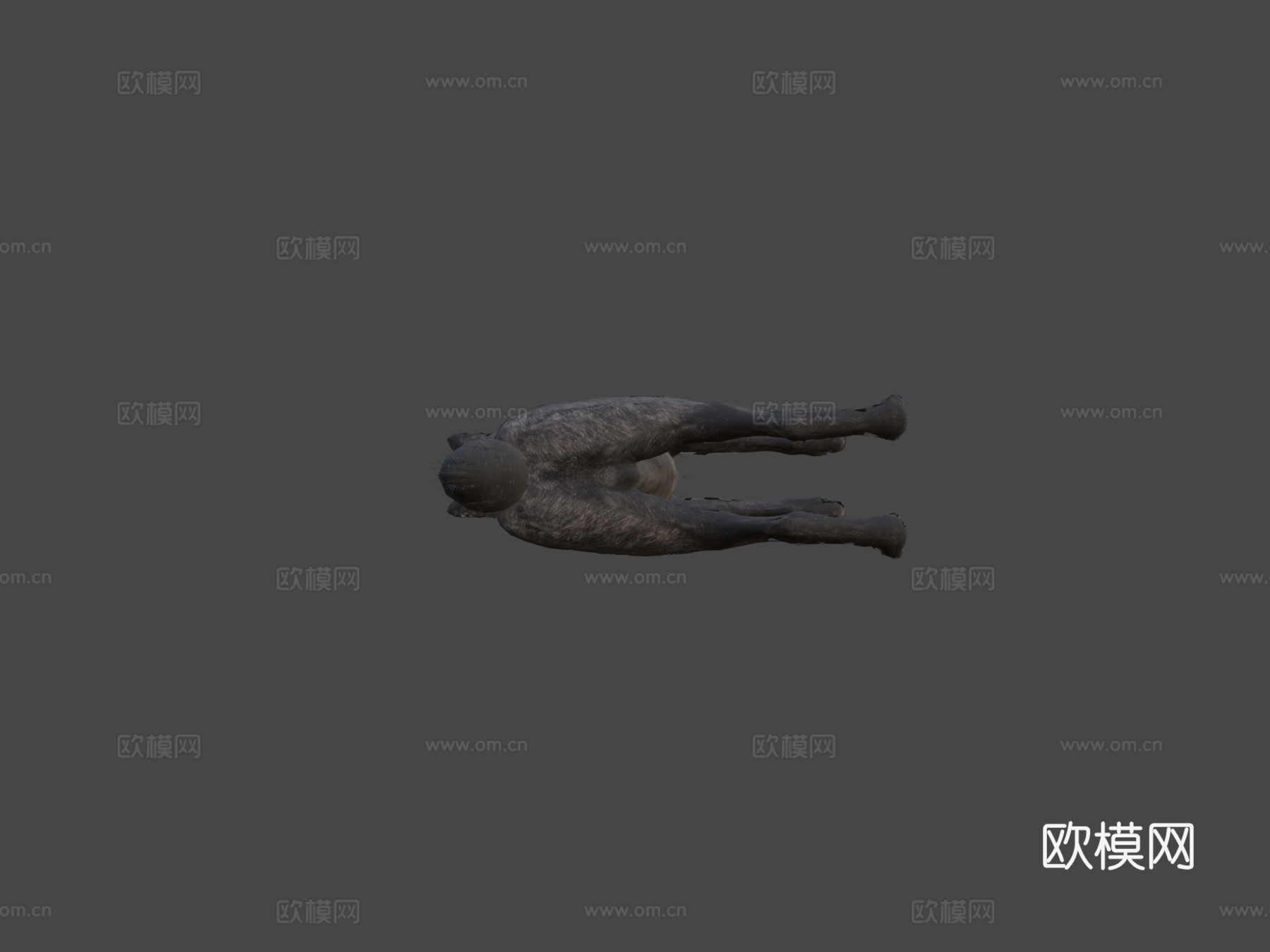使命召唤-幽灵之狼[+幼崽]3d模型