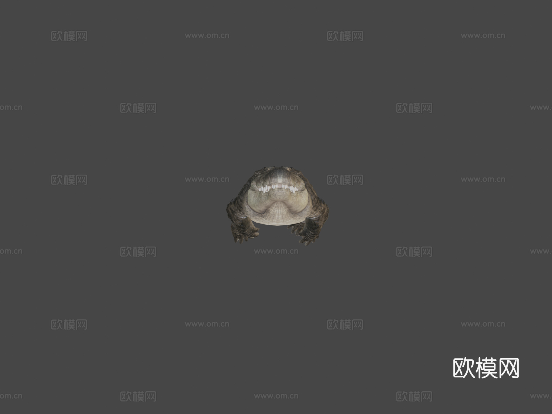 尼罗鳄游泳3d模型