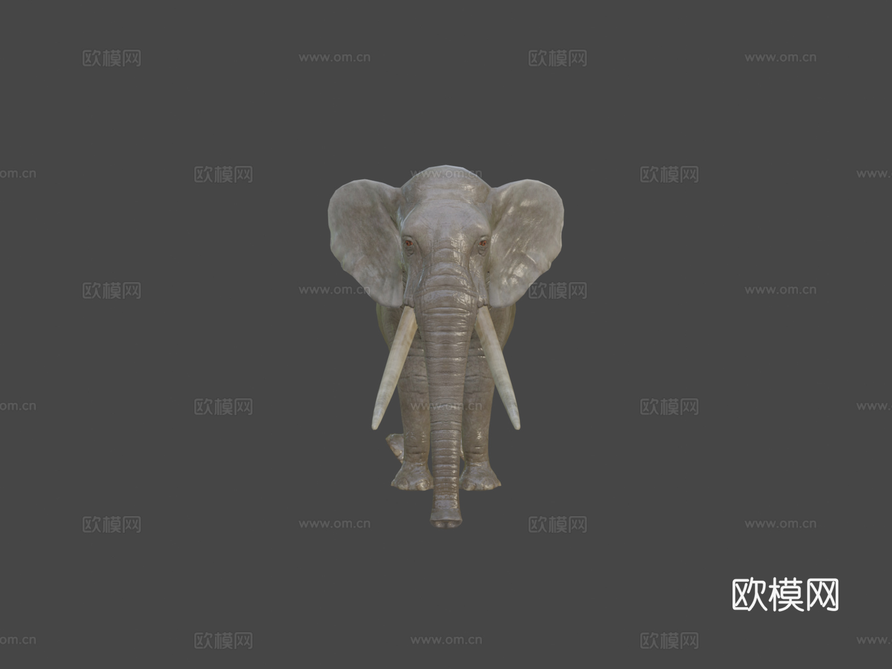 大象动画3d模型