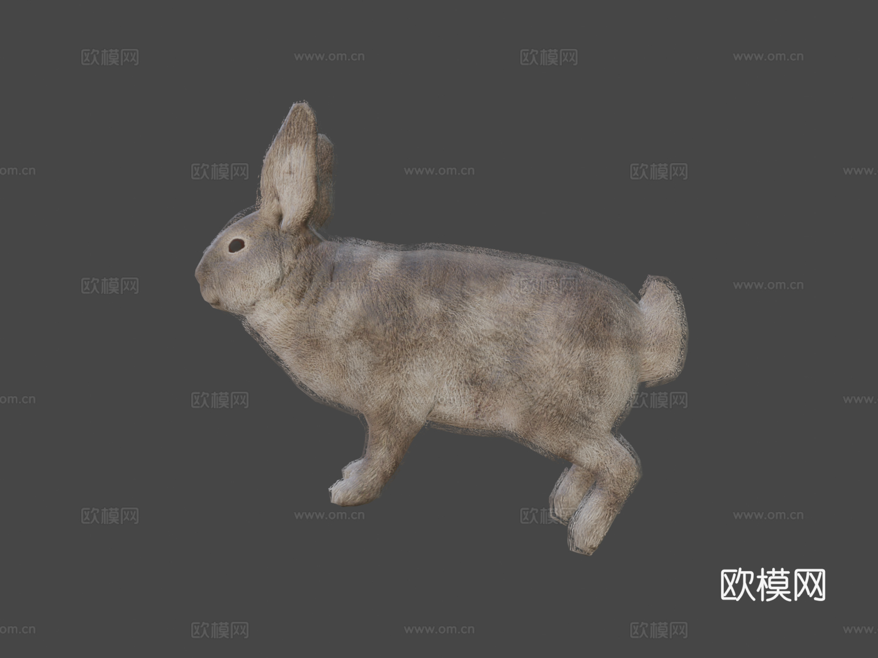 兔子动画3d模型