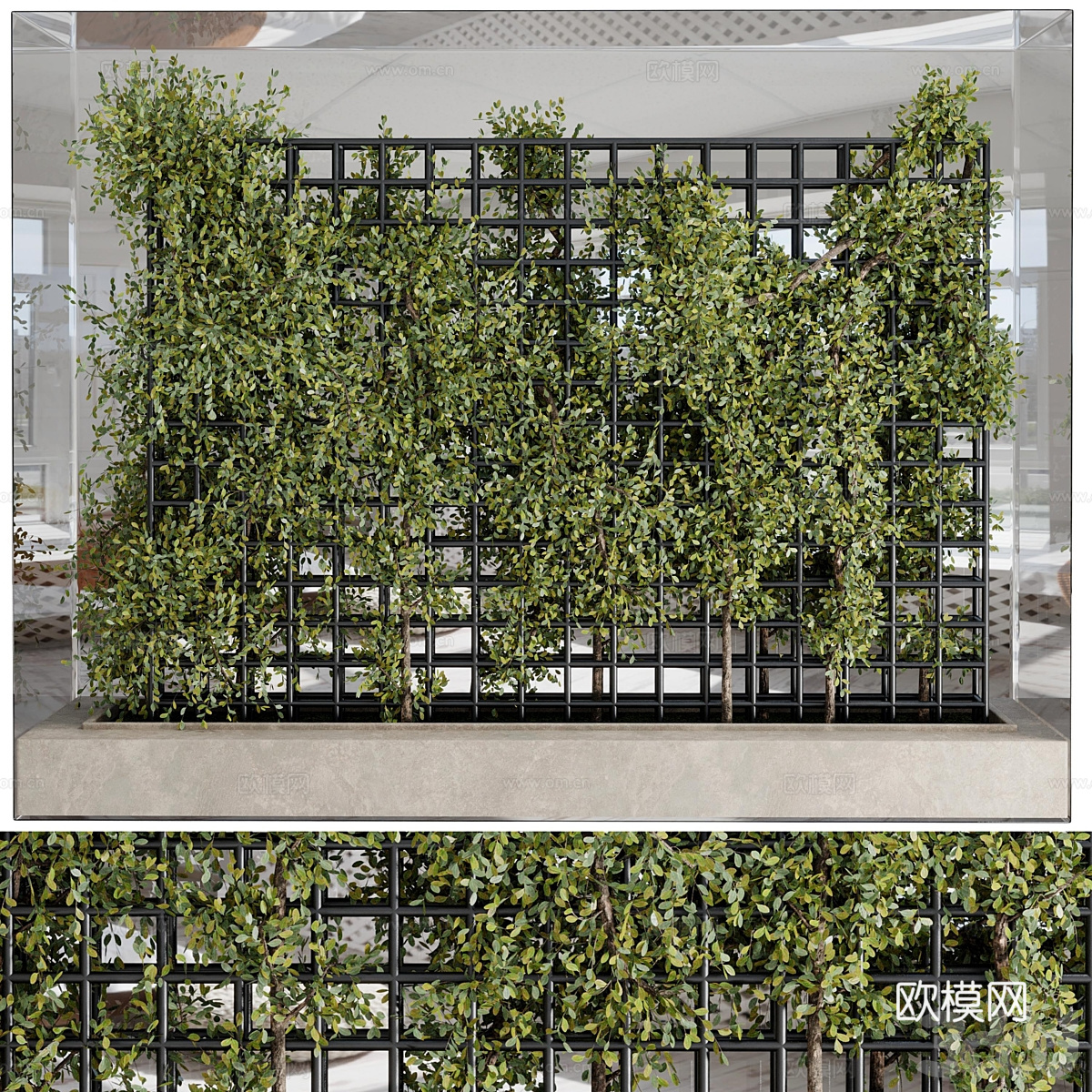 现代意式藤蔓绿植墙3d模型