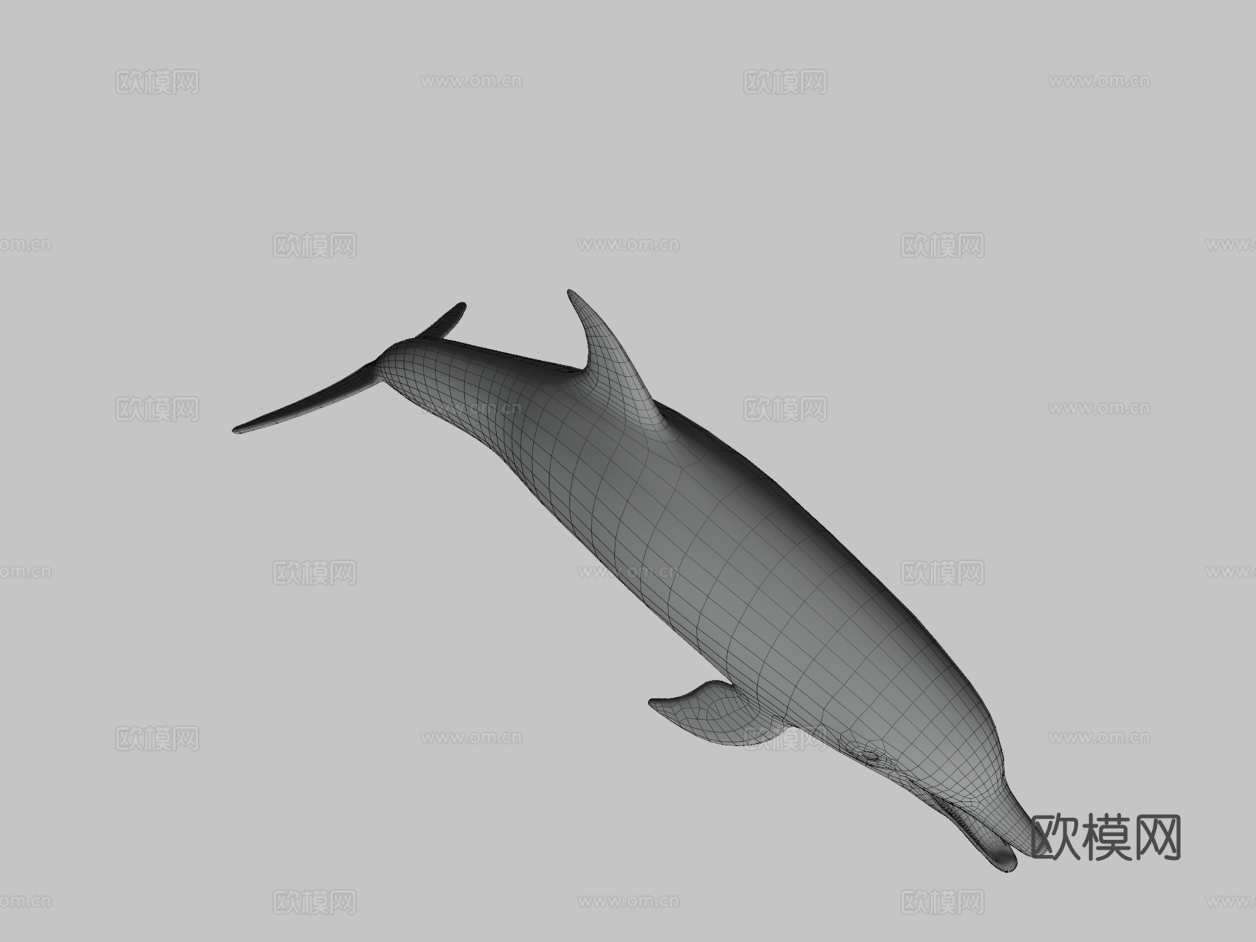 海豚3d模型