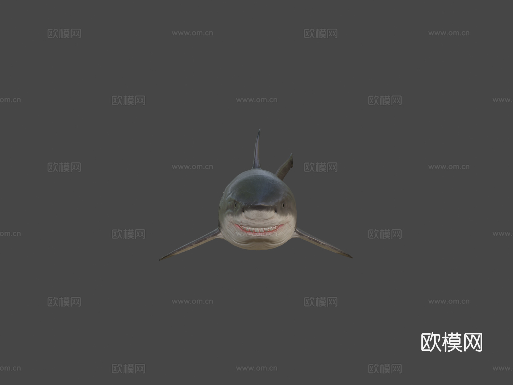 巨齿鲨3d模型