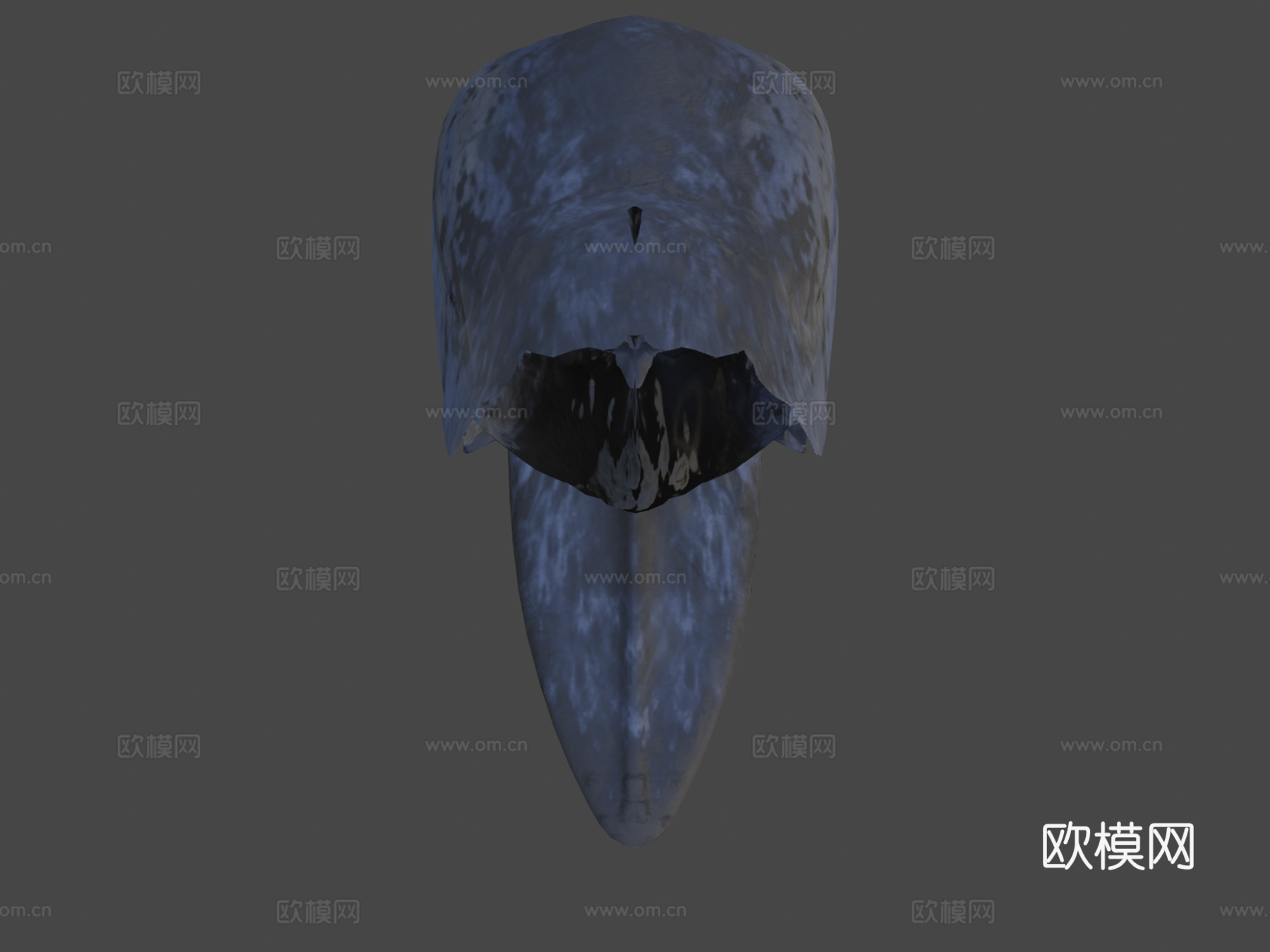 蓝鲸3d模型